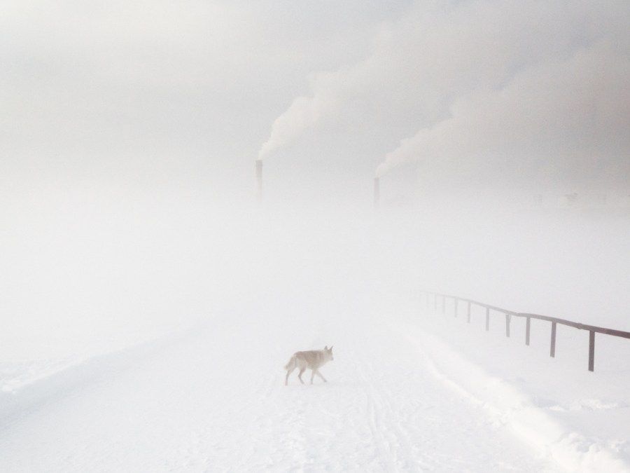 Ode to a color from Nizhnevartovsk