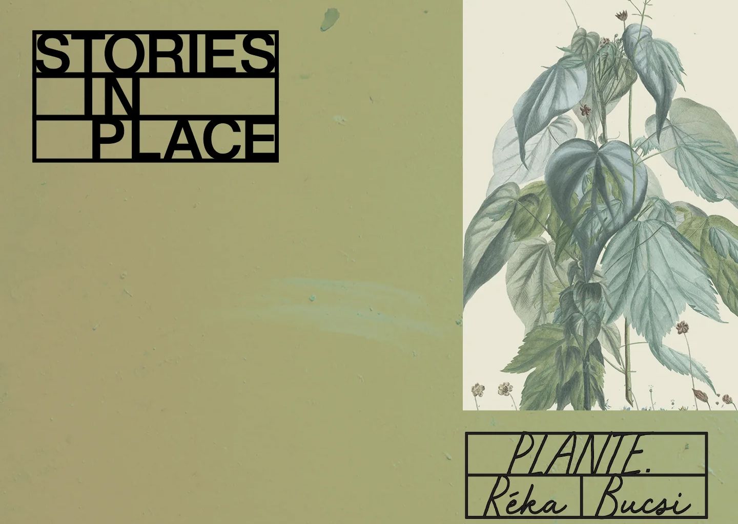 Réka Bucsi’s Vimeo winner short movie | Plante.