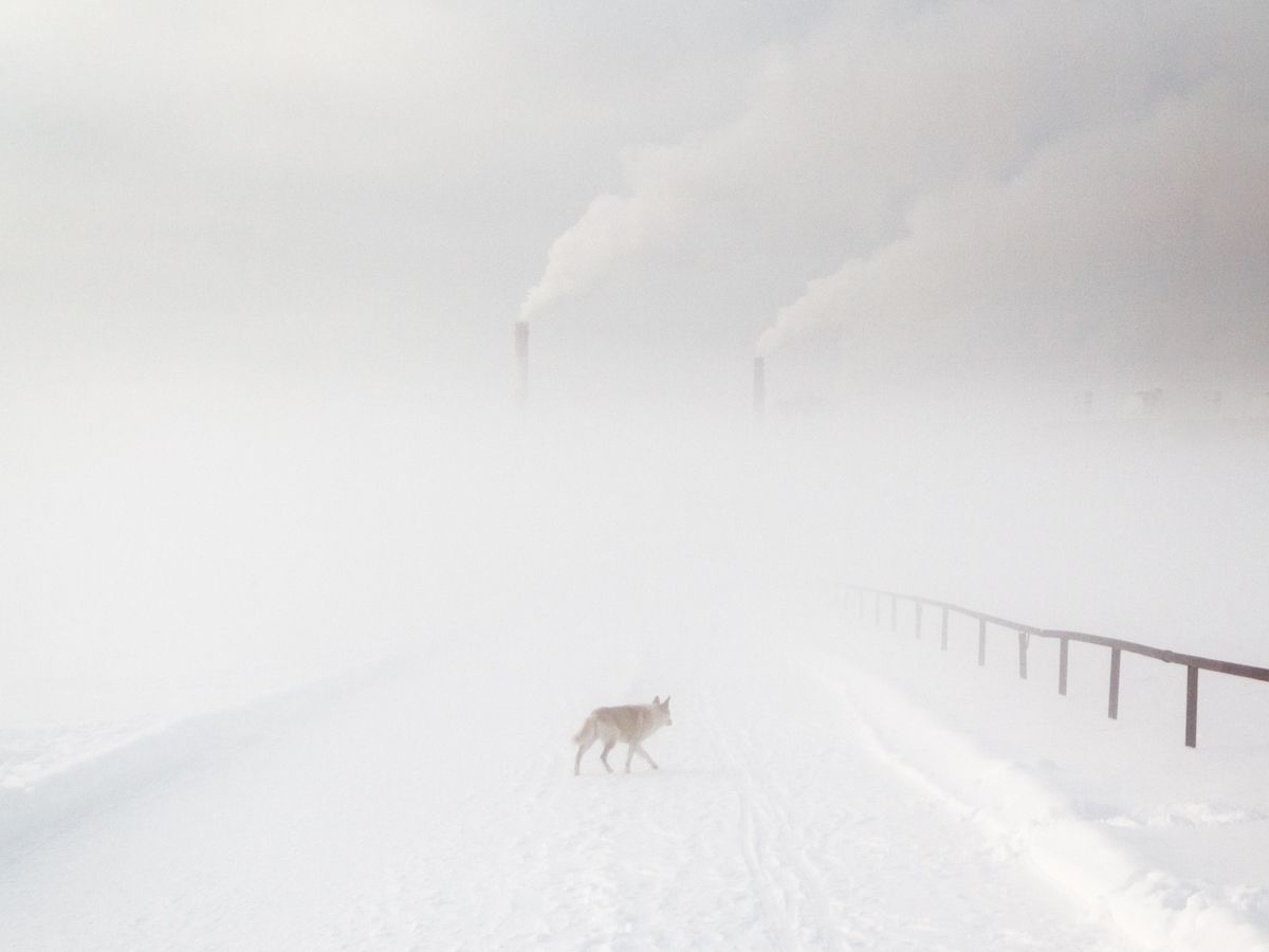 Óda egy színhez  Nyizsnyevartovszk városából