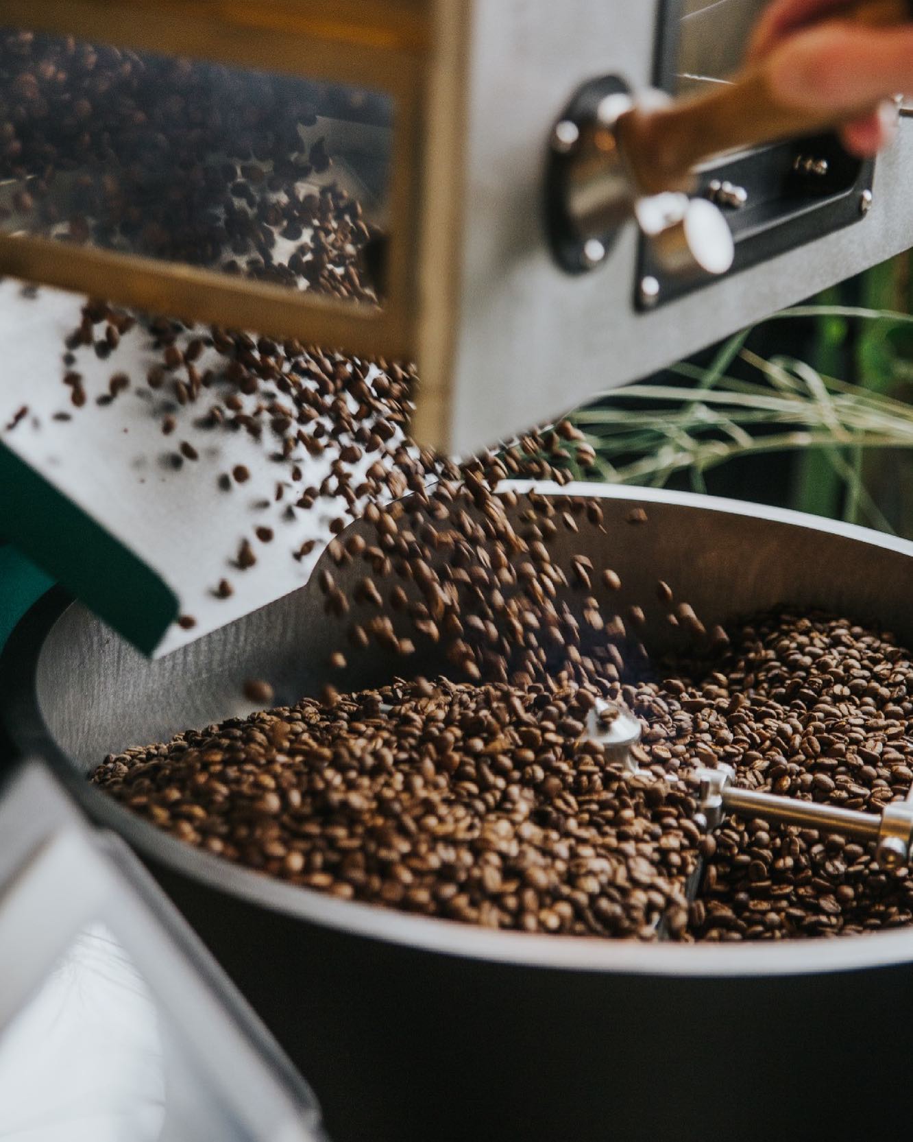 High-tech kávépörkölők a Typhoon Coffee-tól