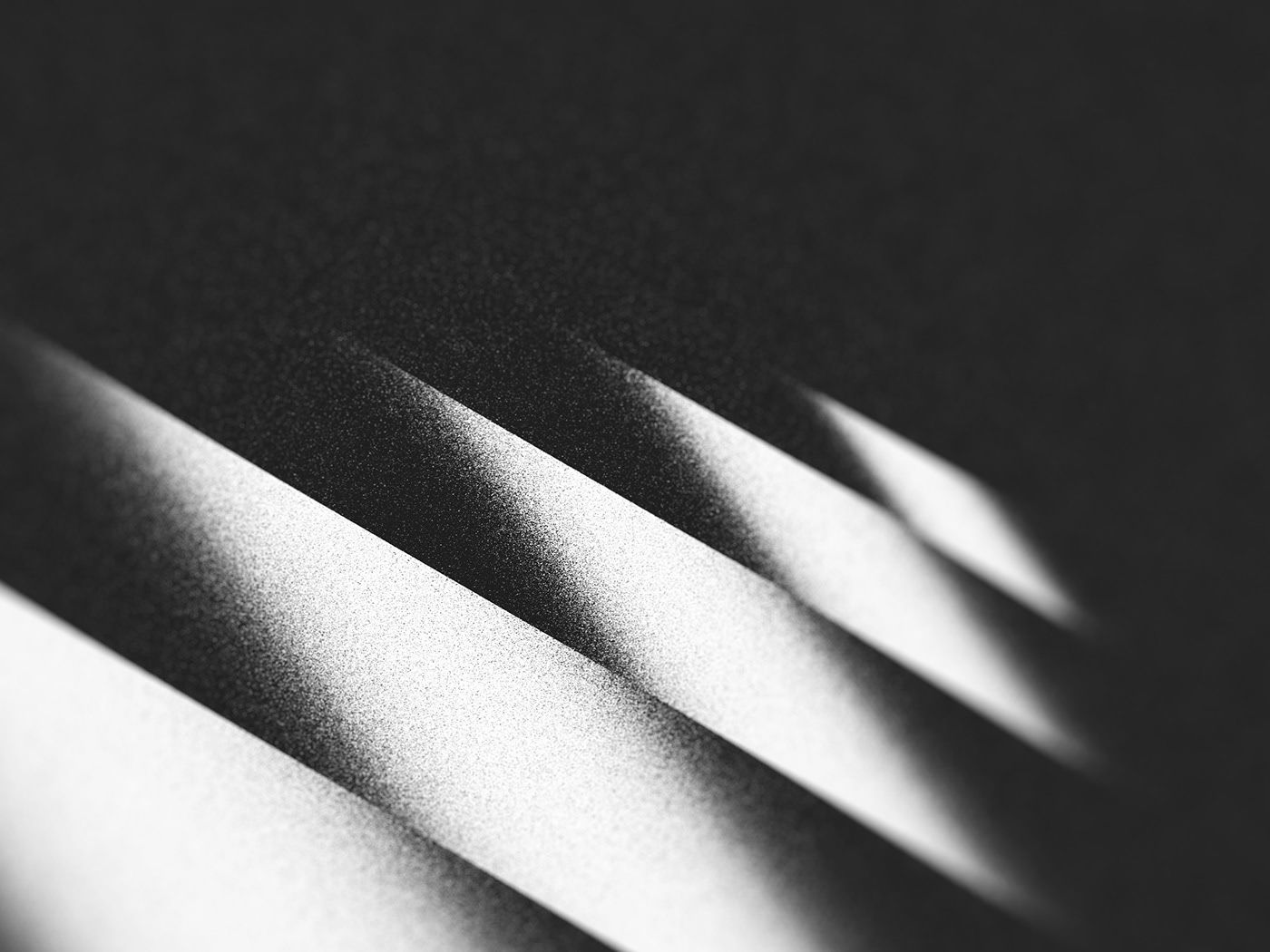 BEST OF HIGHLIGHTS | Az a bizonyos első év