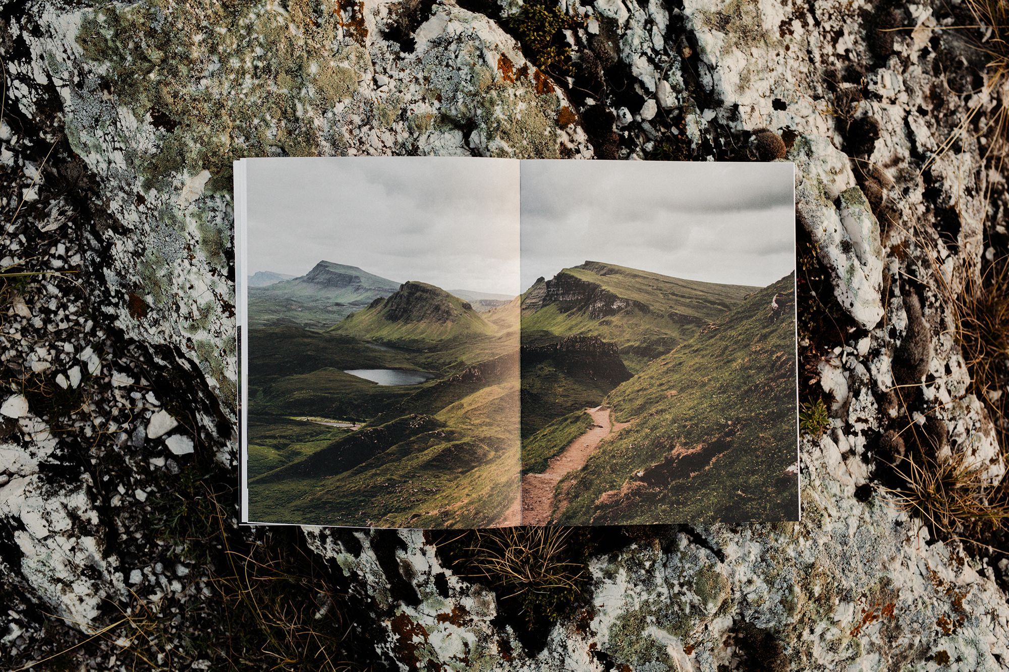 Tastes, scents, impressions—Renáta Török-Bognár’s book Metszéspontok