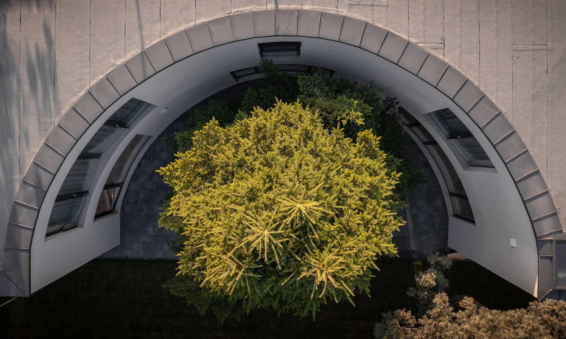 The winner of the 2021 Bucharest Architecture Award demonstrates how to live in symbiosis with nature