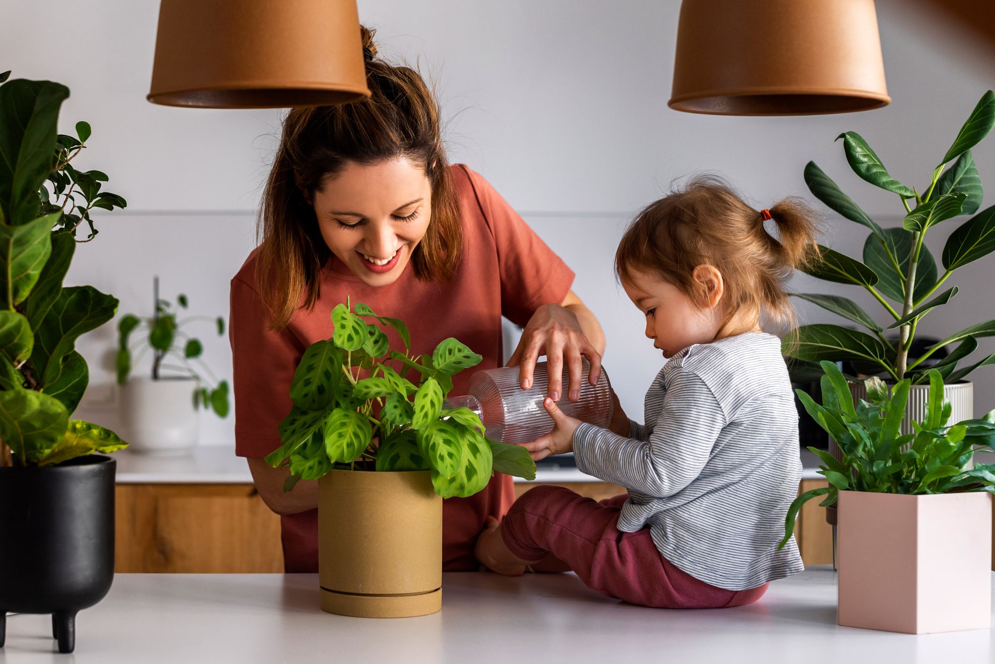 Brighten up the days spent at home | Krate