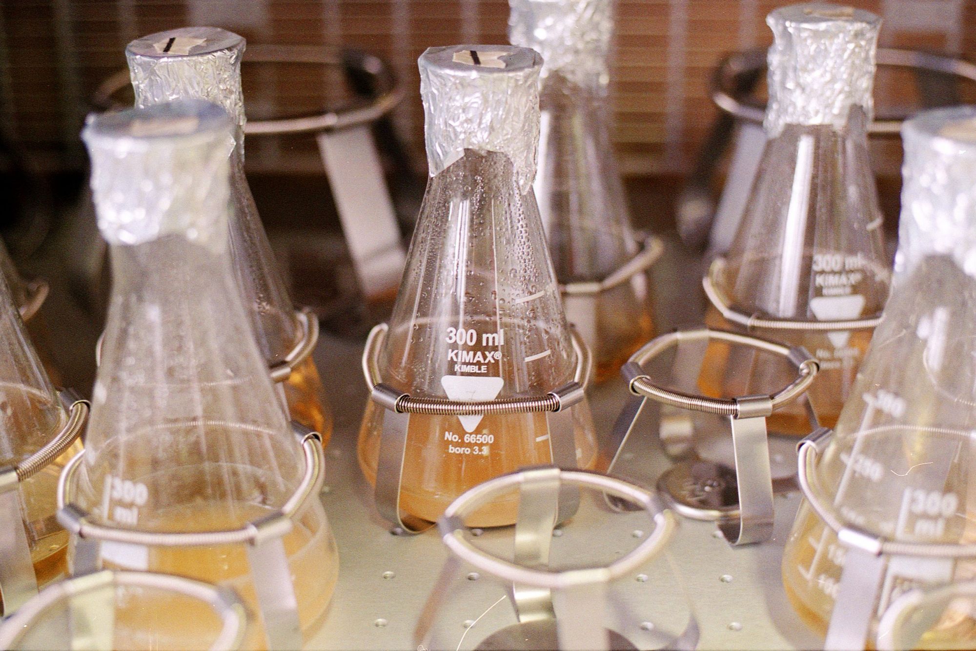 Így menthetjük meg az életadó talajt | Phylazonit