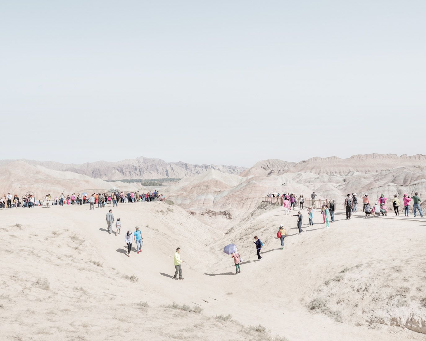 Cognition by Bence Bakonyi