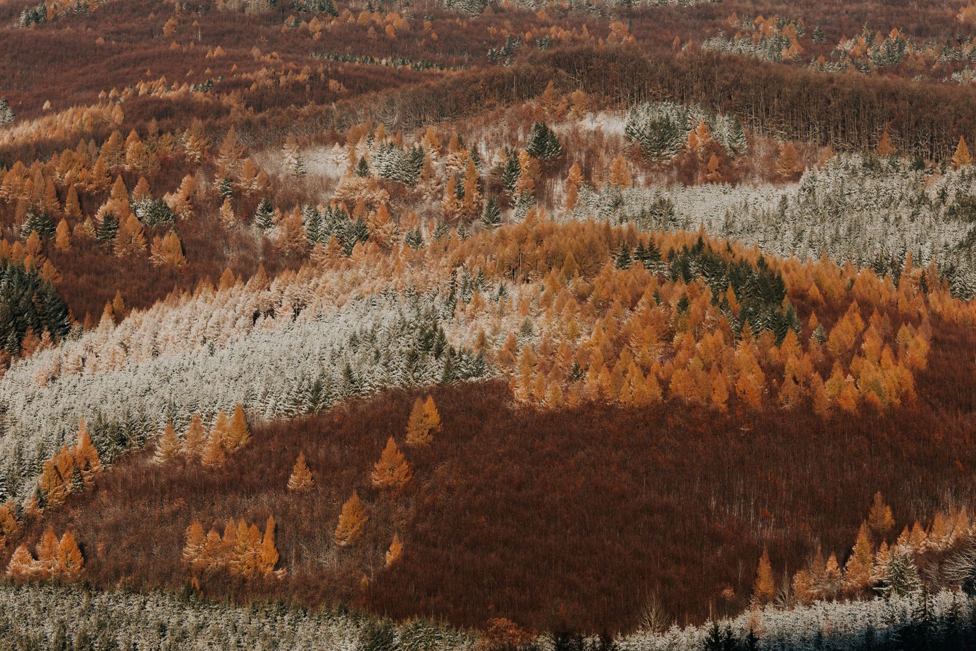 Essence of Hungary—The heart and soul of the country on still lifes