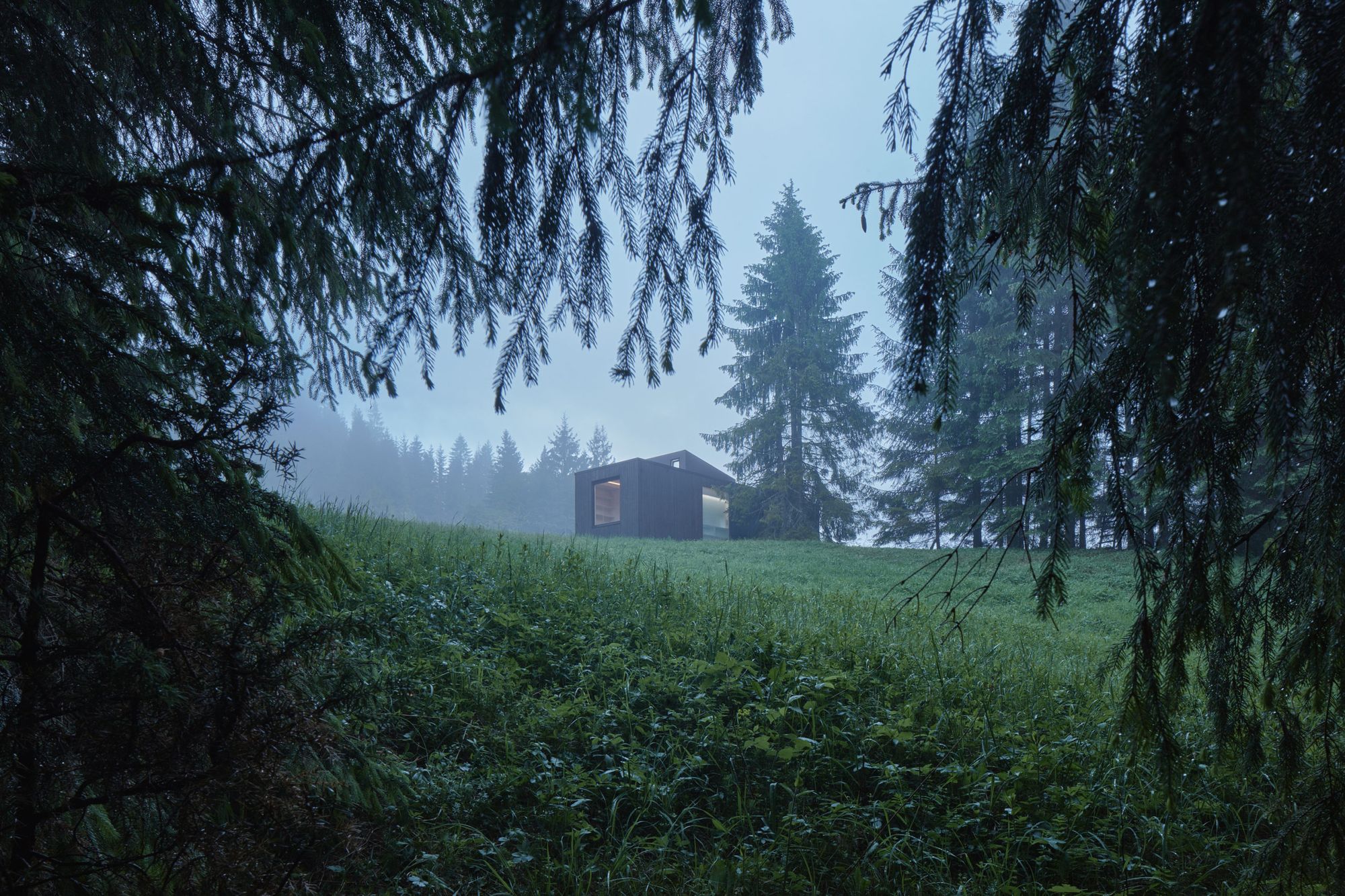 Vissza a természetbe | Ark-shelter