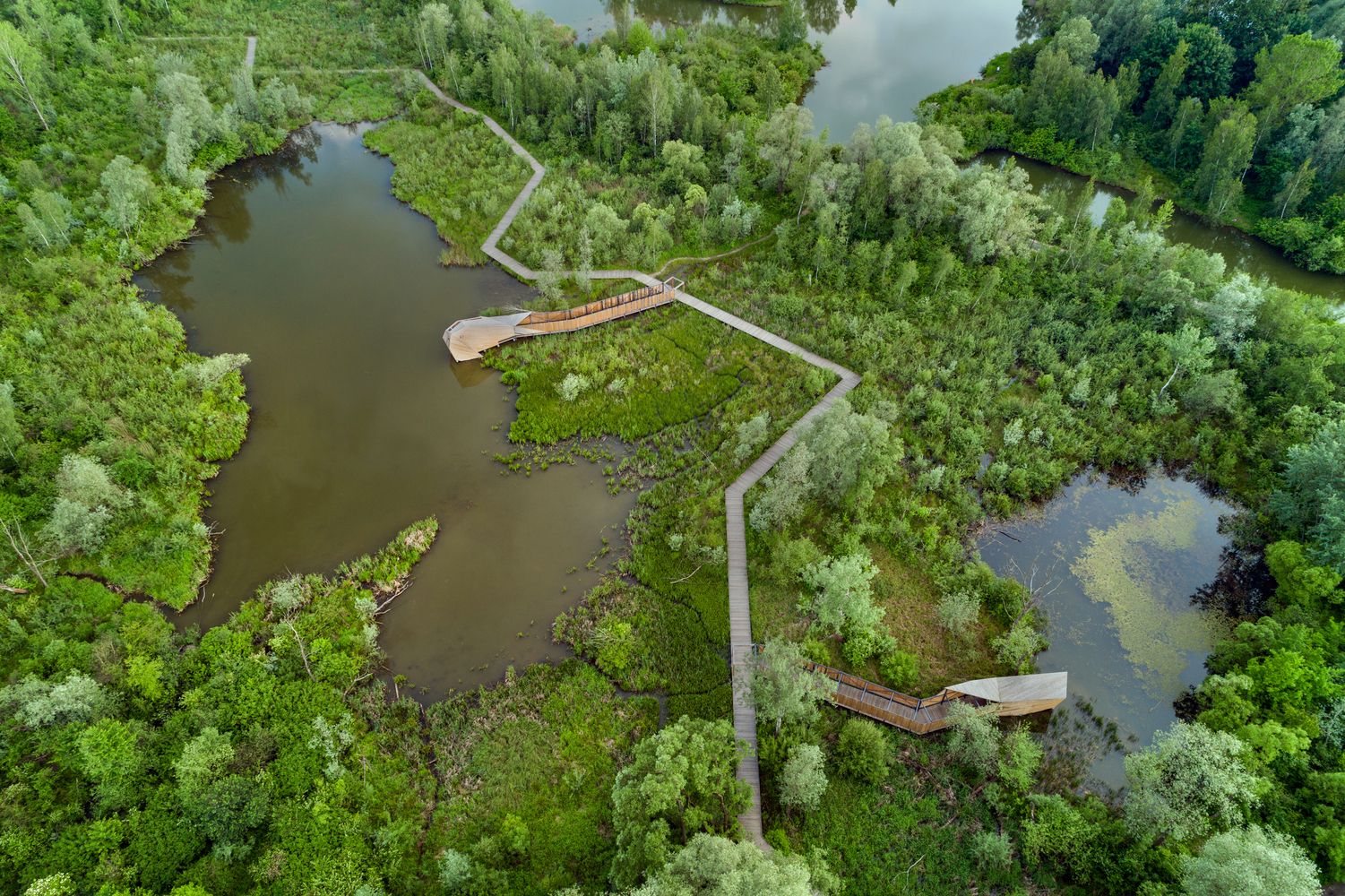 Immersing in the power of nature | 55Architekci