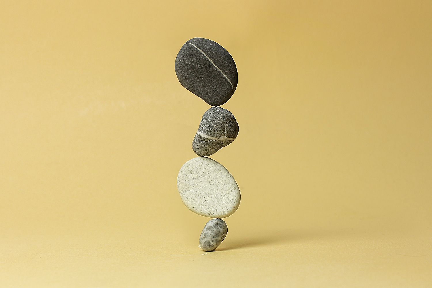 Shapeshifting forms | Benoit Leva