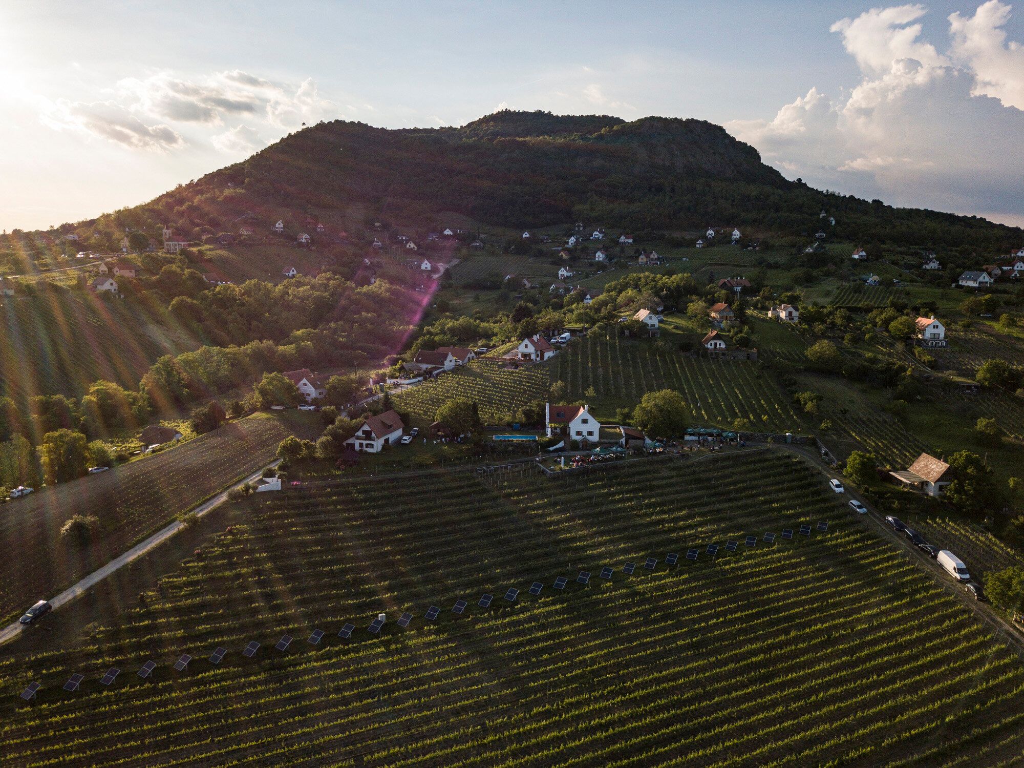 Overnight cellar visit and festivities in the Balaton wine region in Hungary