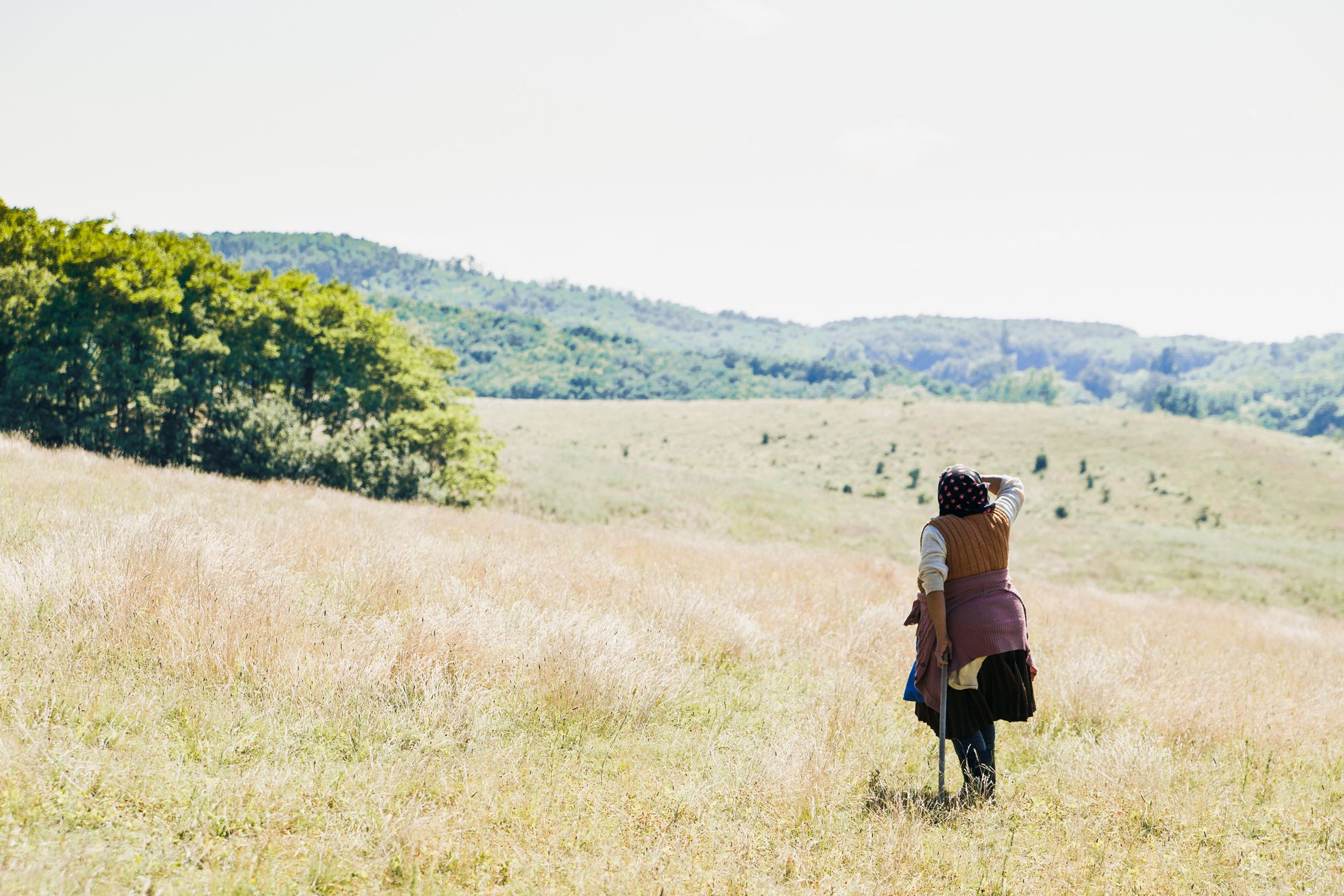 “I want to tell stories of an old, true life” | Zsófia Mohos