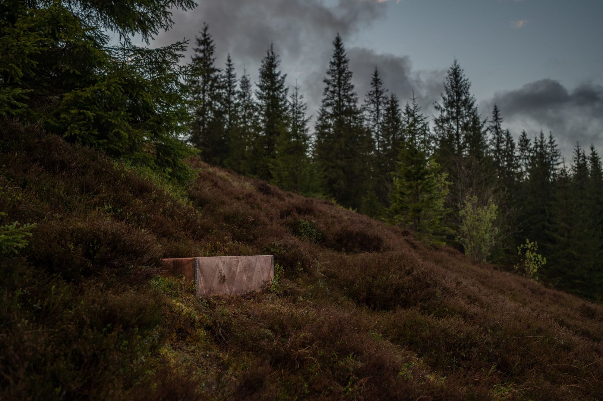 Fesztiválinstalláció az AU workshoptól | HYPE X WONDEREST