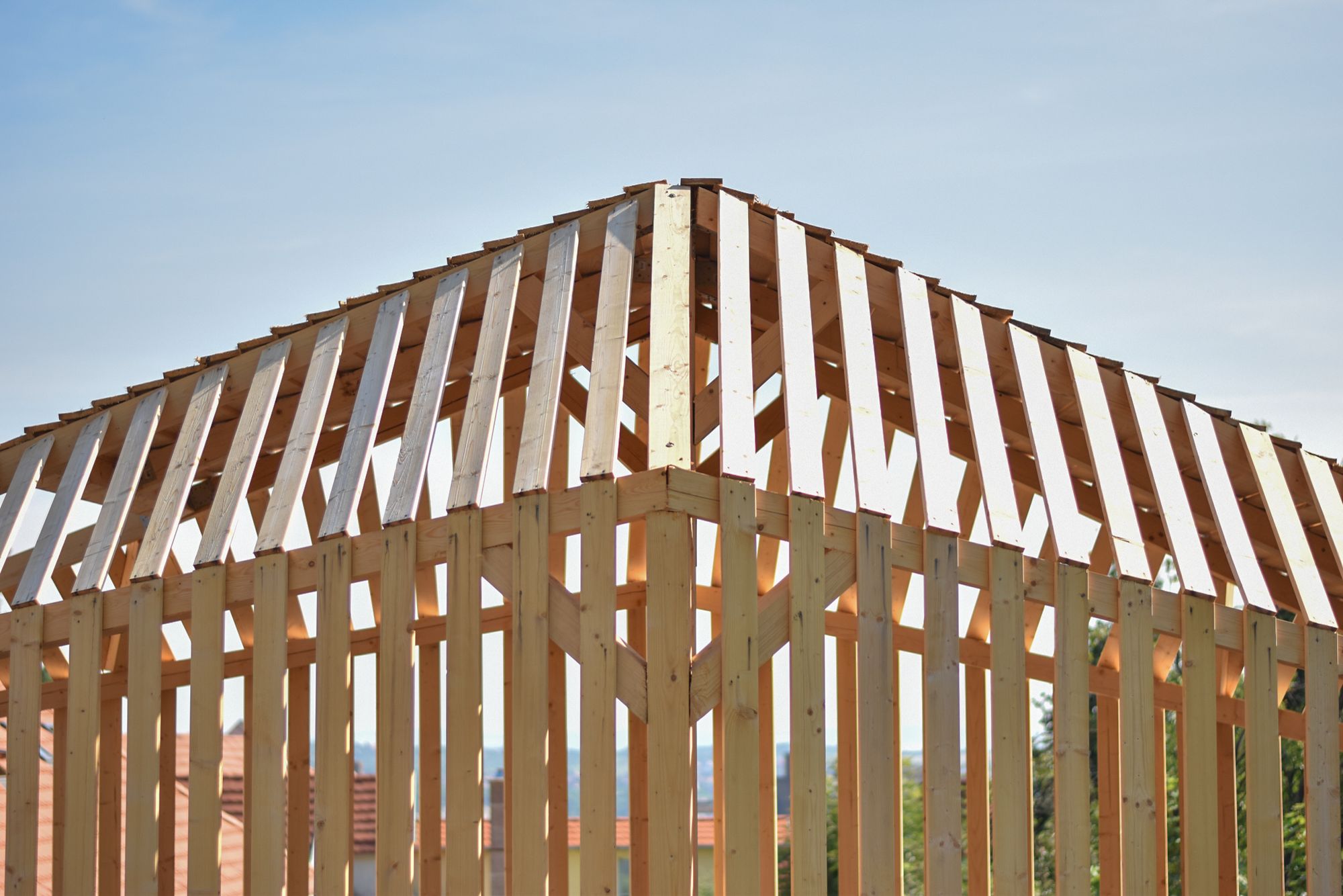 A nest swing, a bench and herb dryers: the new resting park of the Miskolc Autism Foundation