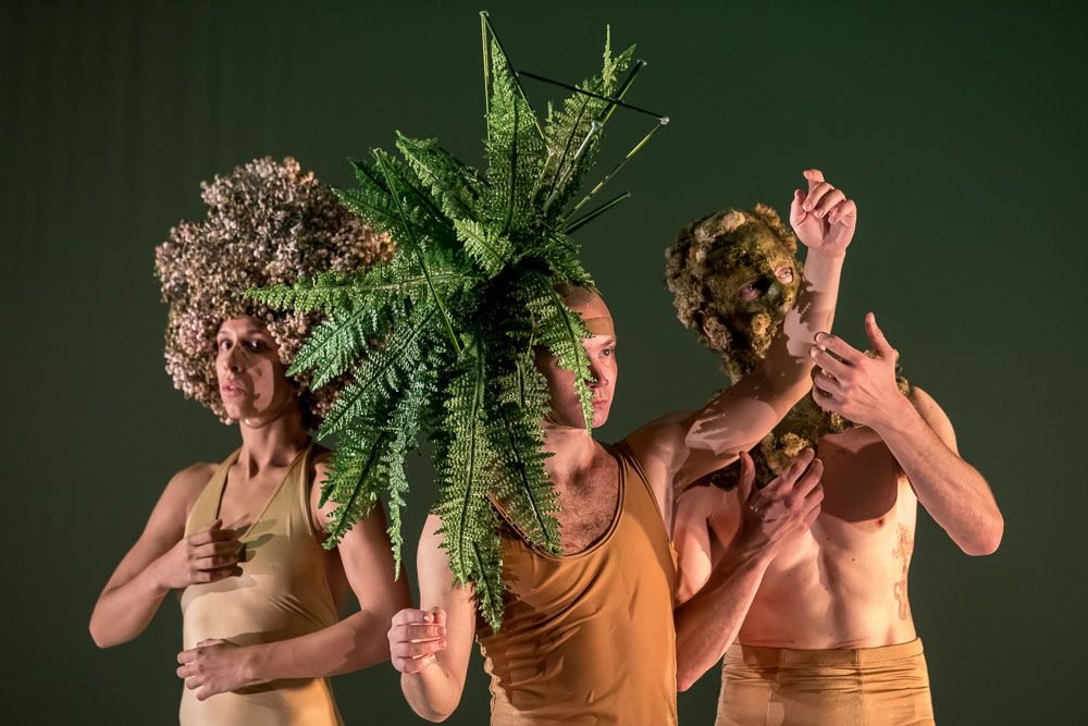 Here comes the first all-arts and community festival focusing on sustainability