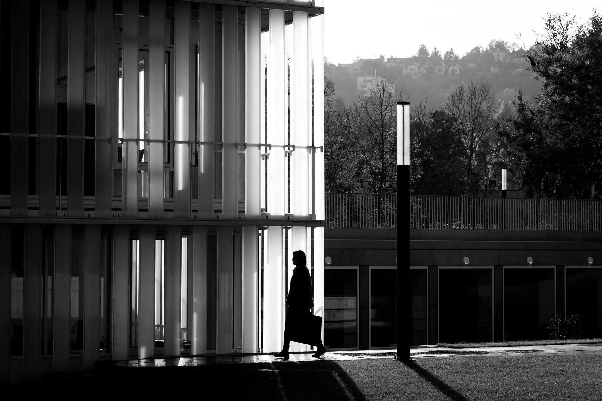 Fotókon is trendi az új MOME