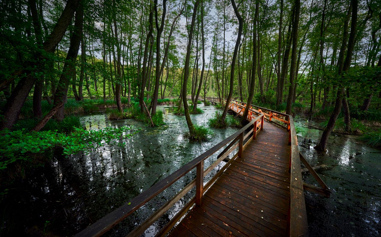 Diverse nature trails | TOP 5