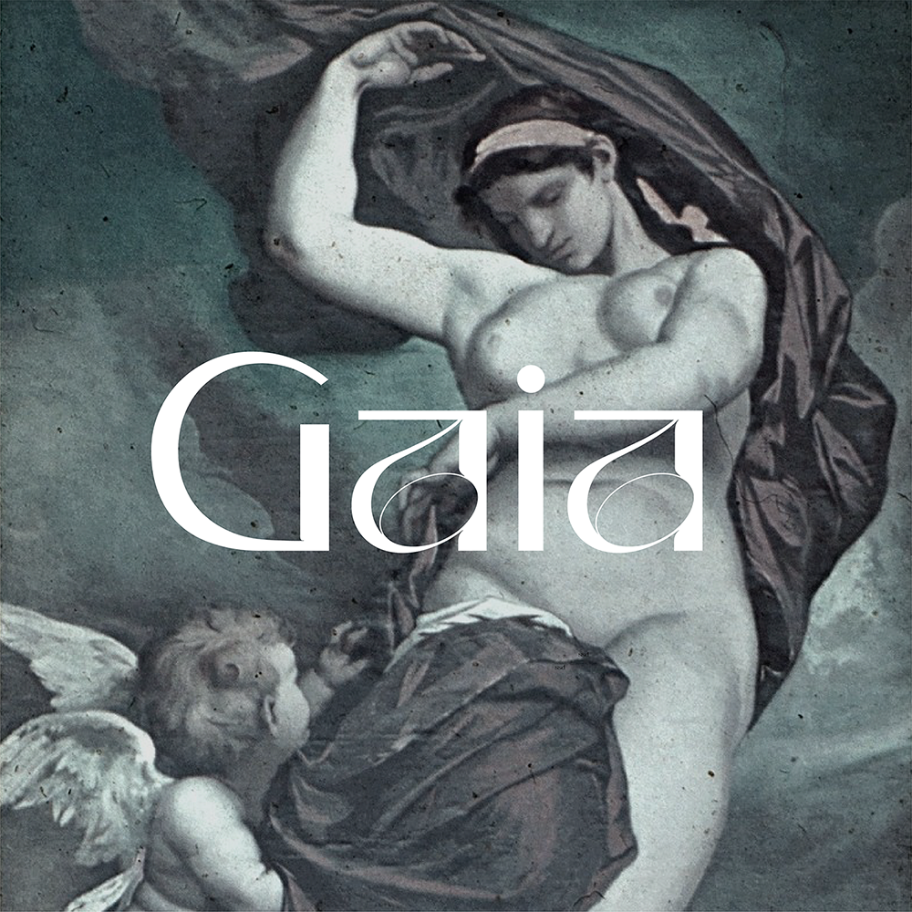 Kaszanyi Nóra | Gaia Display