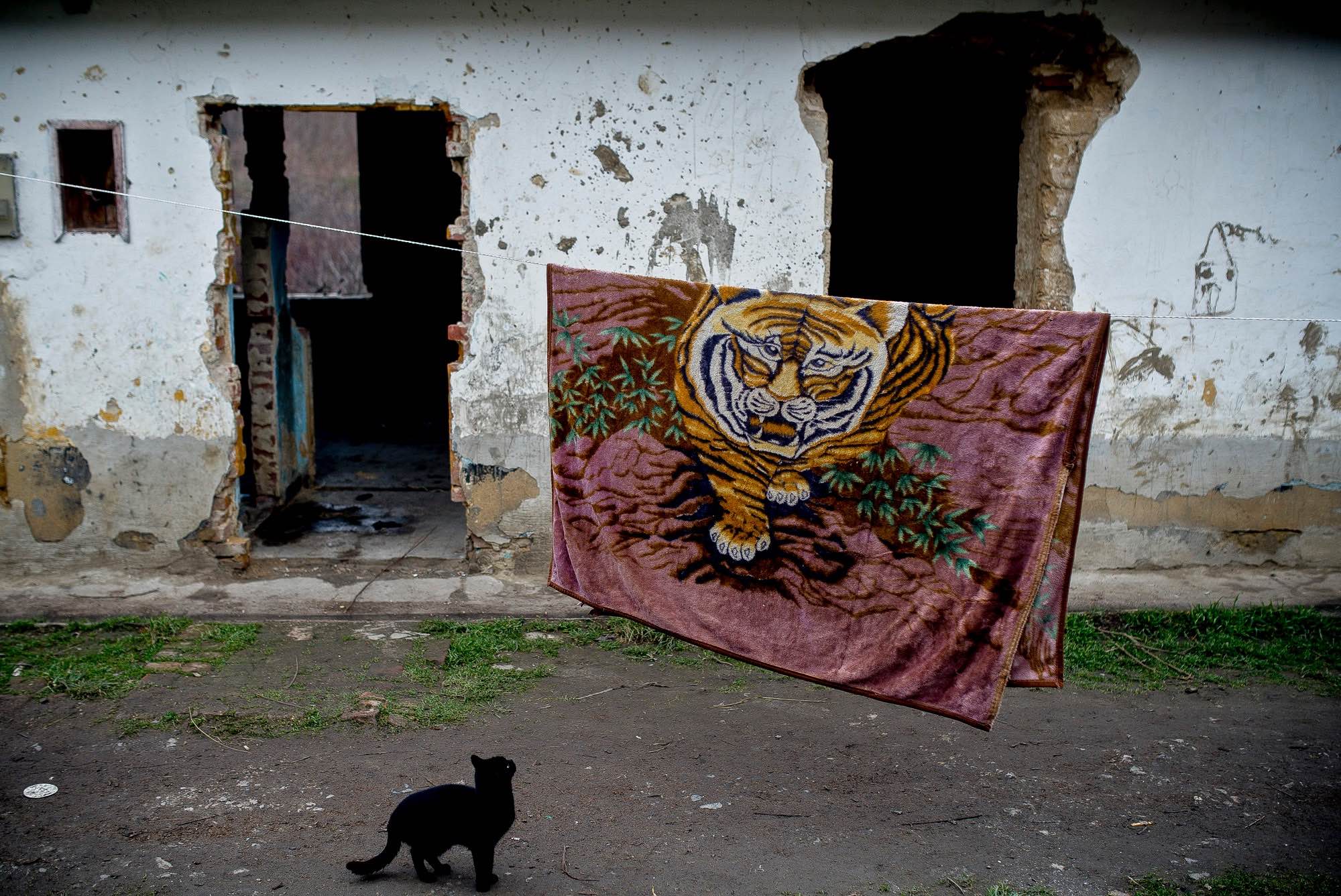 MIAU! | Capa Központ