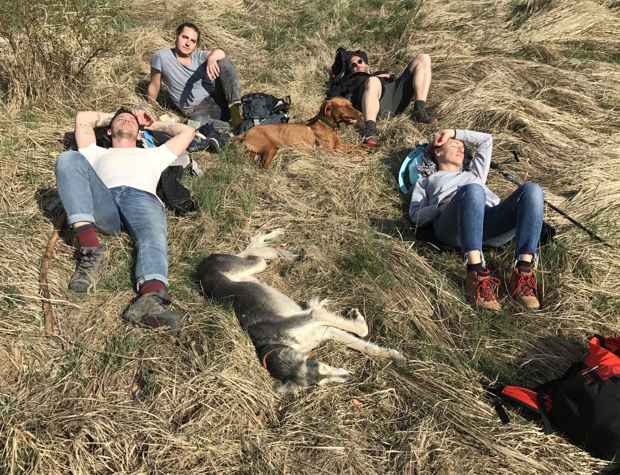 When creatives go hiking | Sporttársak