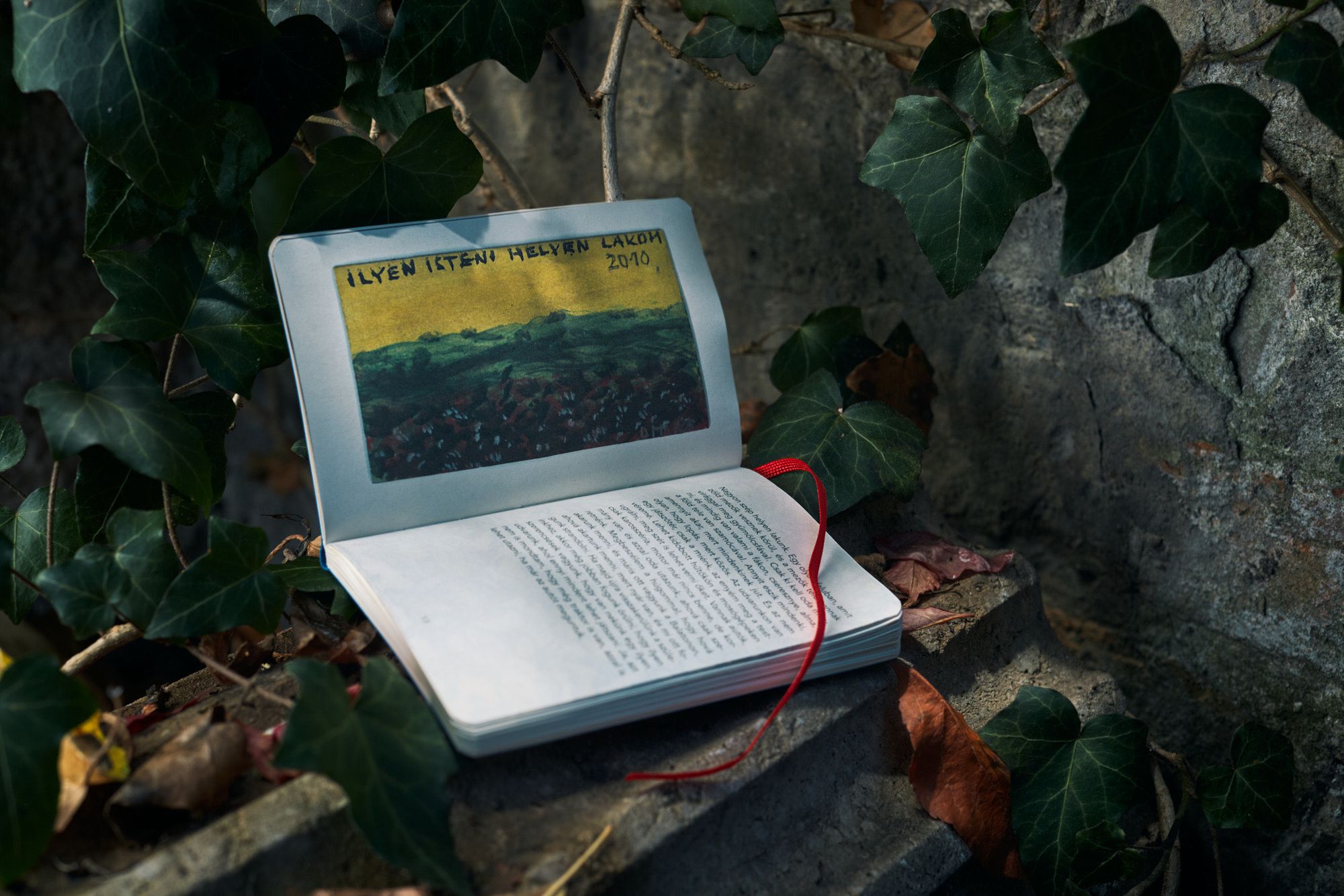 Pocket exhibition on the truths of existence | Omara X Háy