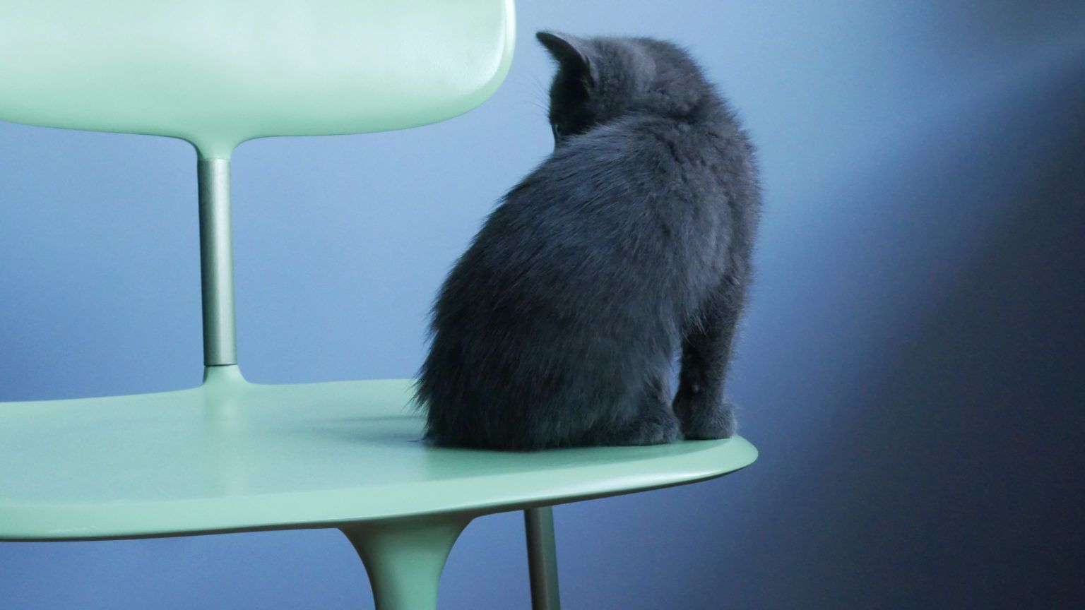 Kosmos | Chair in another way