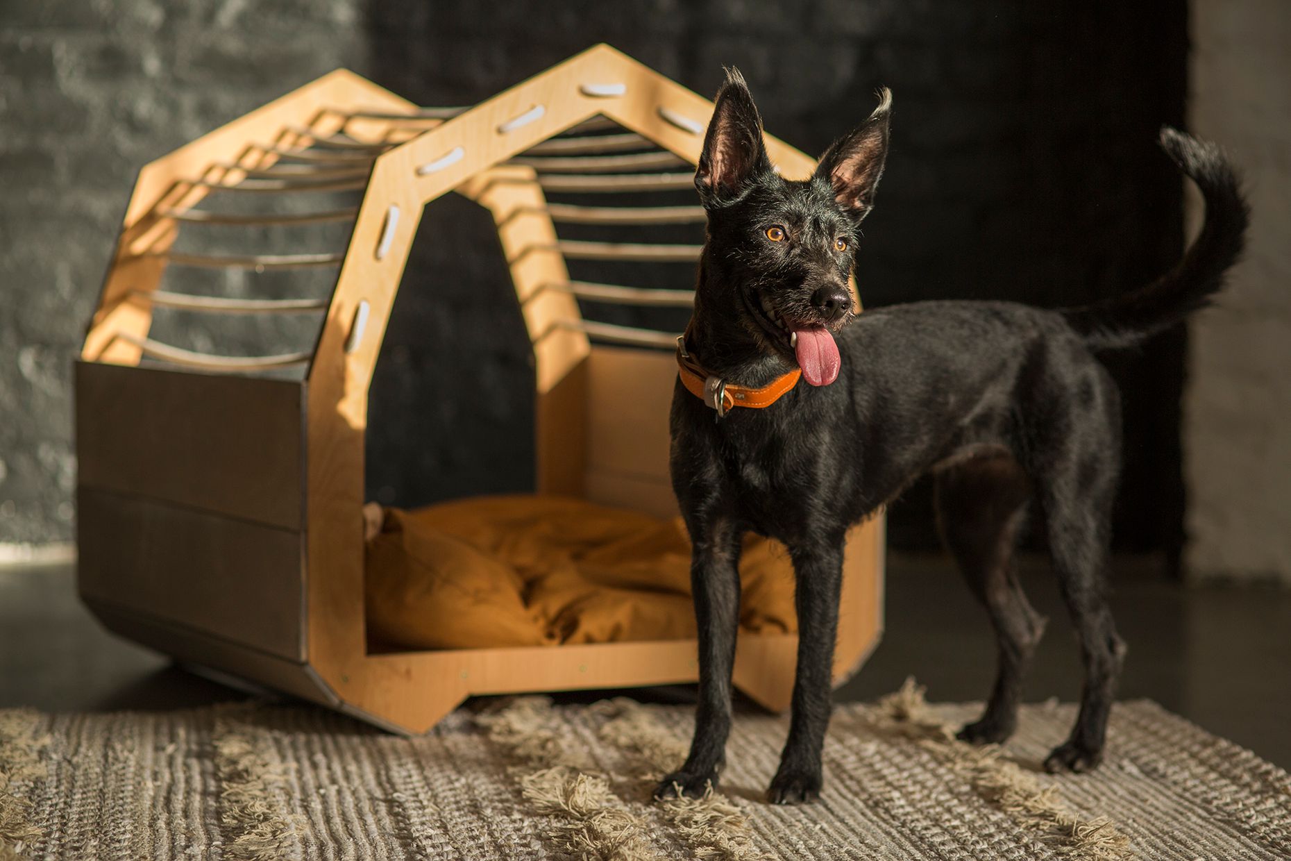 MÖKKI dog furniture | MAACRAFT X MADZAG