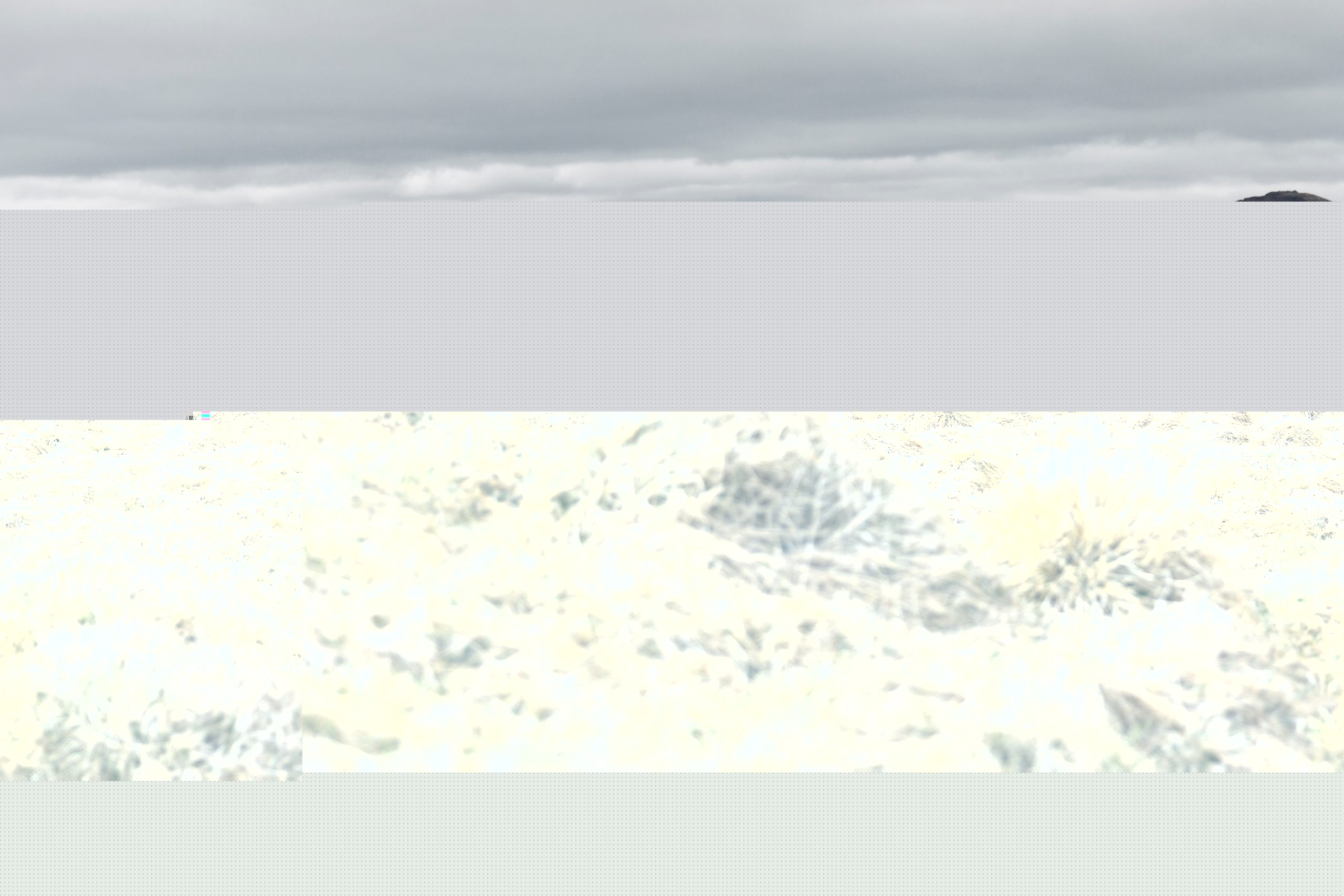 „Örökzöld” termékekkel tér vissza a Pinetime Clothing – interjú az alapítókkal