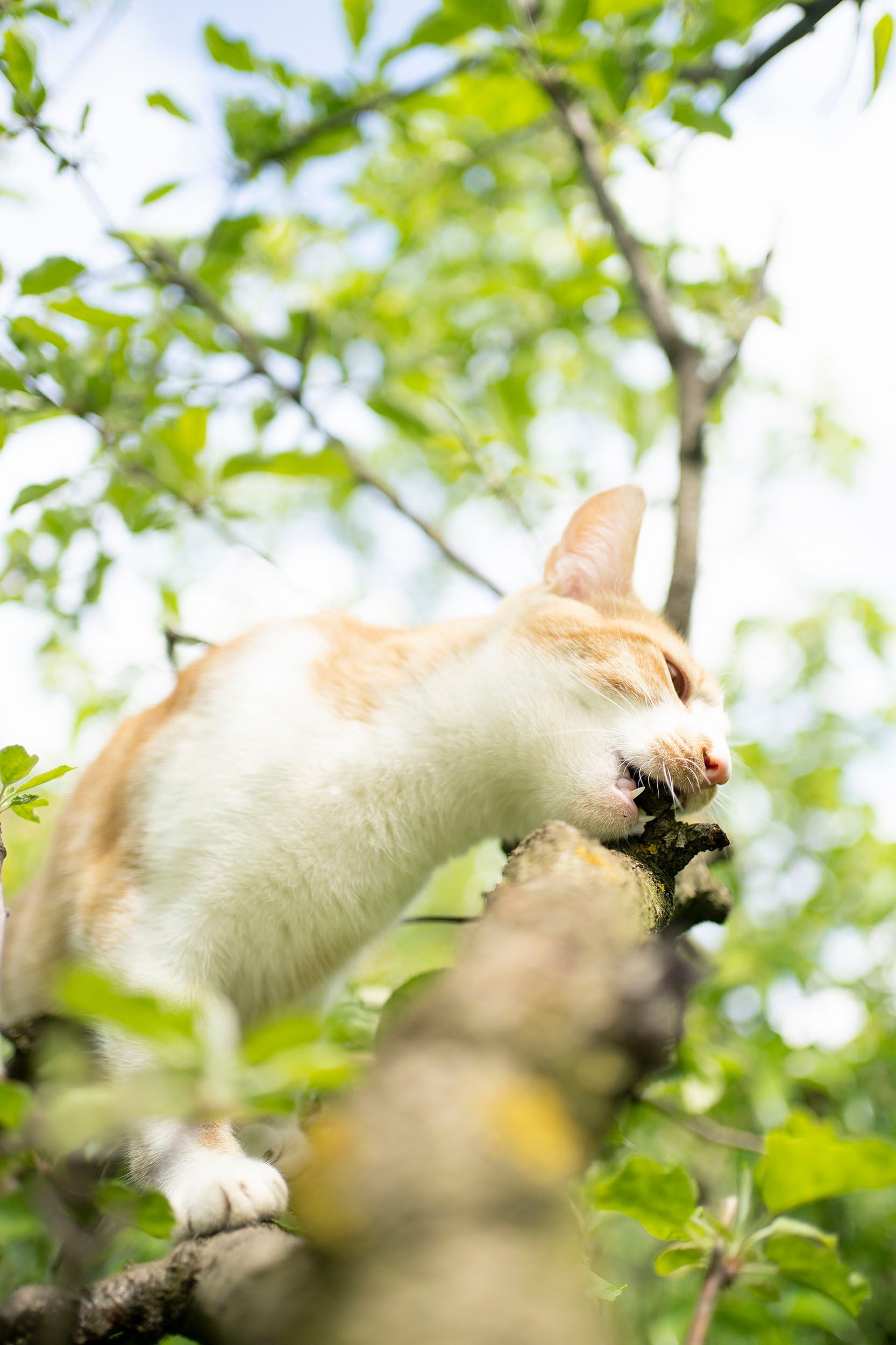 Planting the seeds of a new life