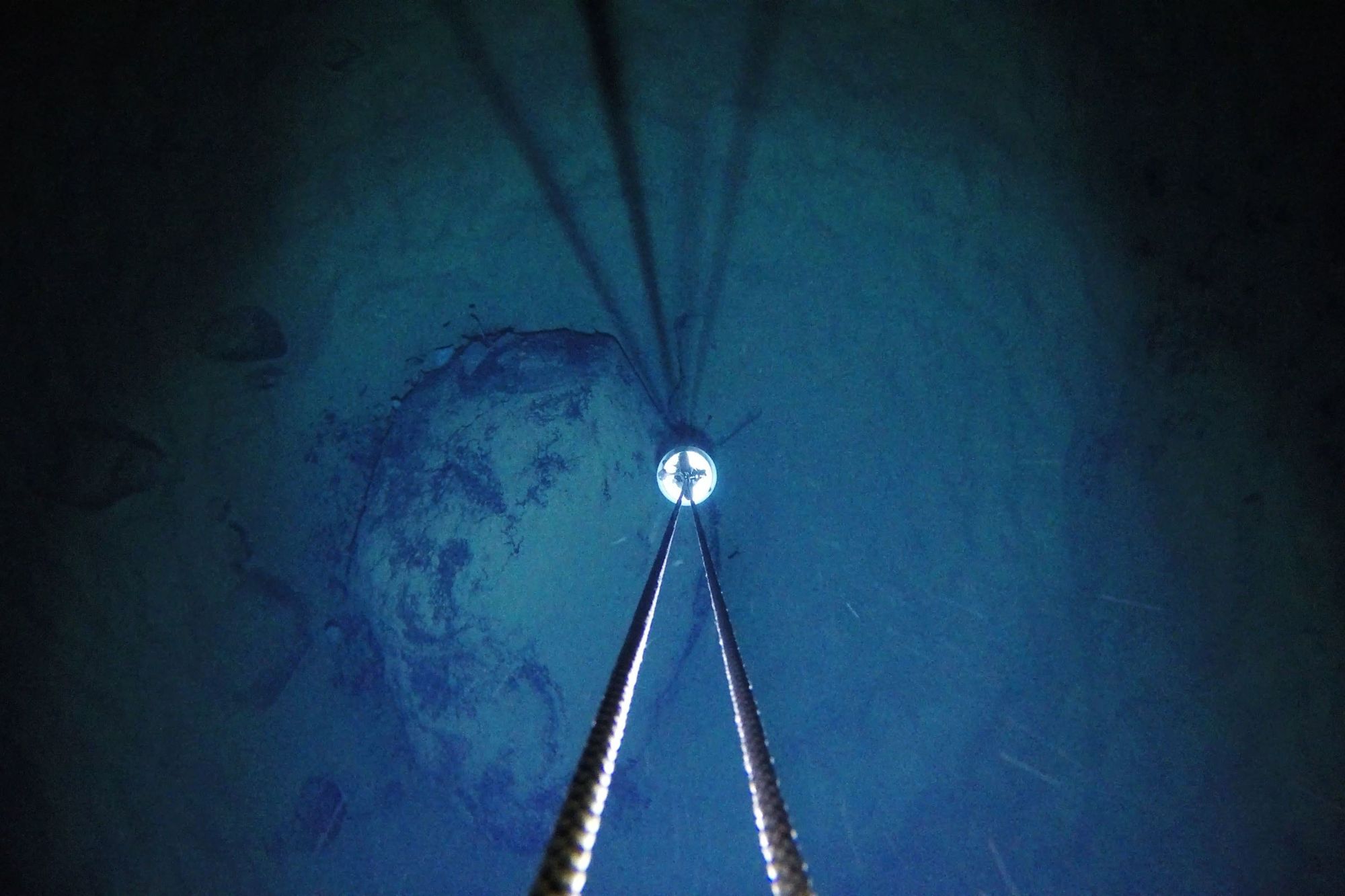 Living creatures were found under half a mile of Antarctic ice