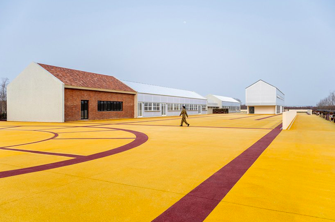 Egy soha véget nem érő aratás Shanghajból