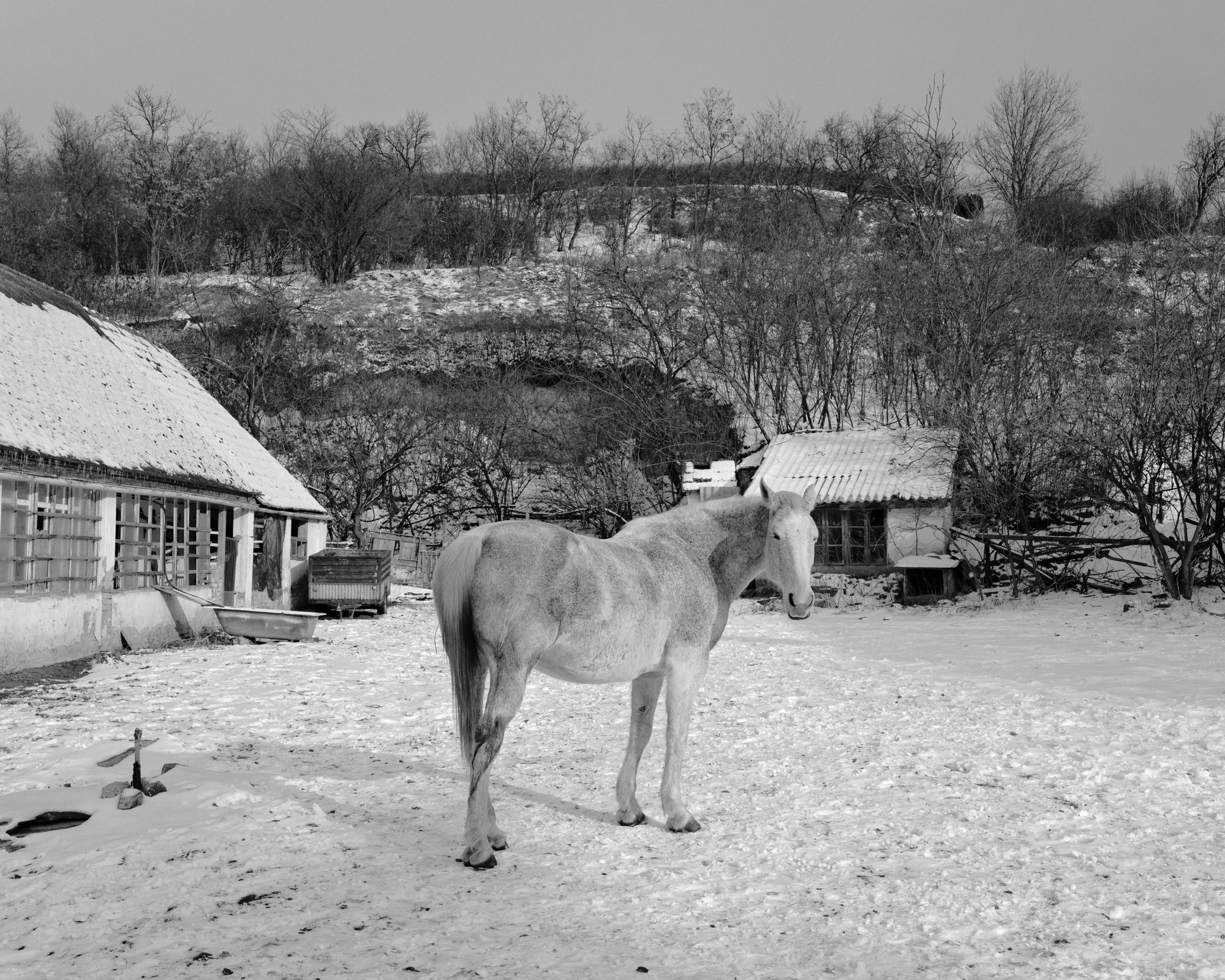 Contrasting intimacy | Ákos Major