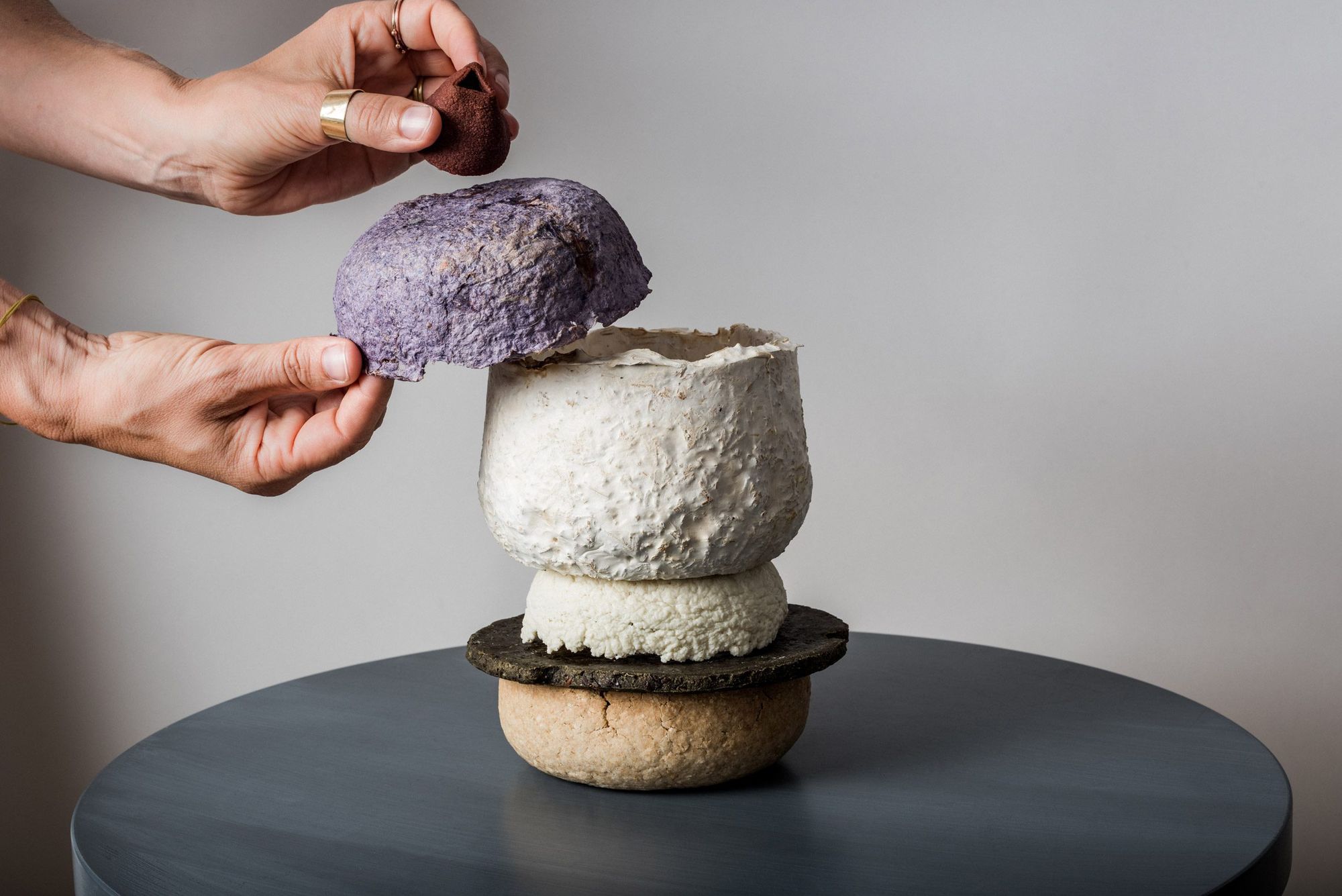 This might be the solution to food waste | Interview with  Barbara Gollackner, creator of Wastewear