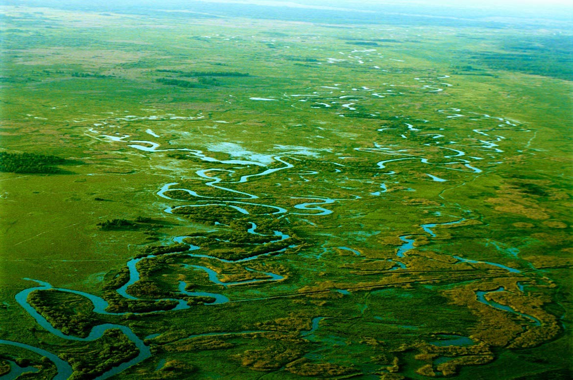 Lengyelország varázslatos tájain | Biebrzański Nemzeti Park
