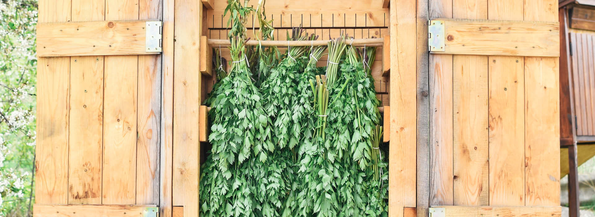 Meditation in the middle of a herb garden | Maacraft x AU Workshop