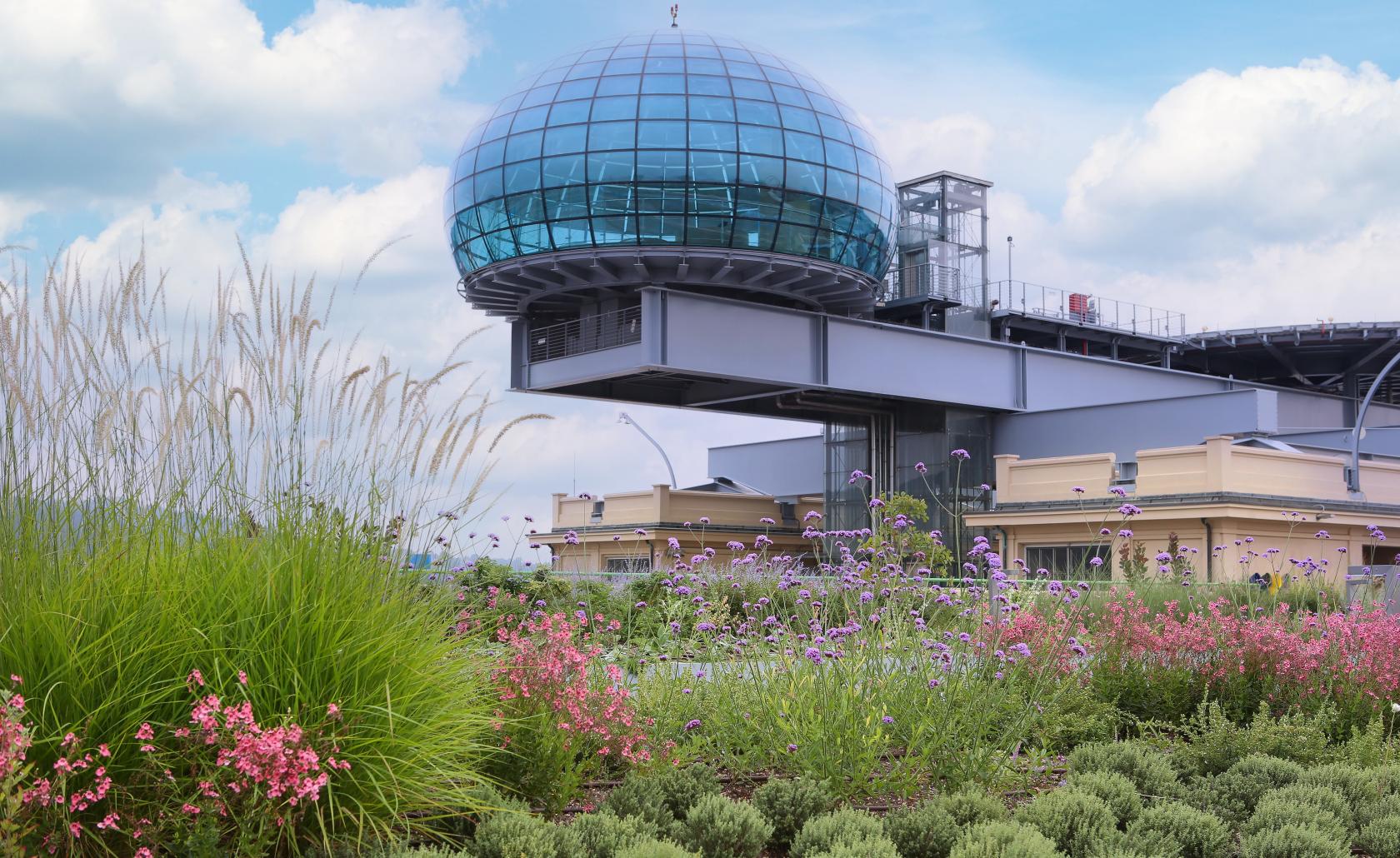 Car factory transformed into Europe's largest hanging garden