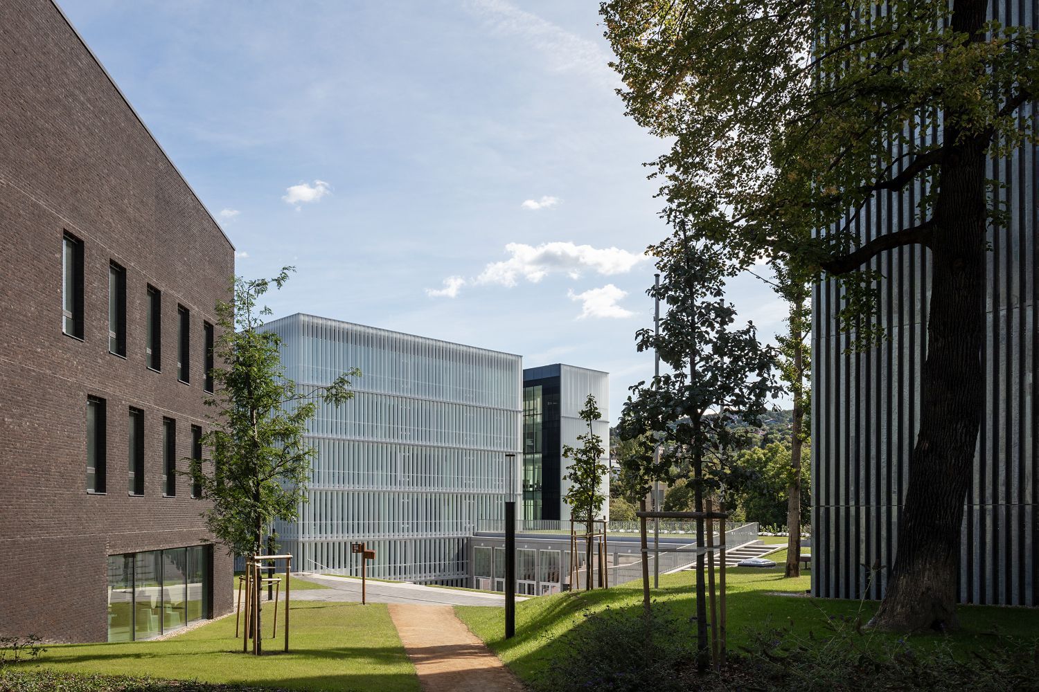 Barabási Albert-Lászlóval kutatja új piacait a MOME