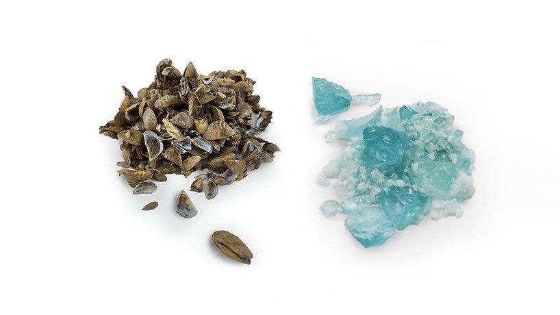 Beautiful blue glass made out of invasive species of mussels