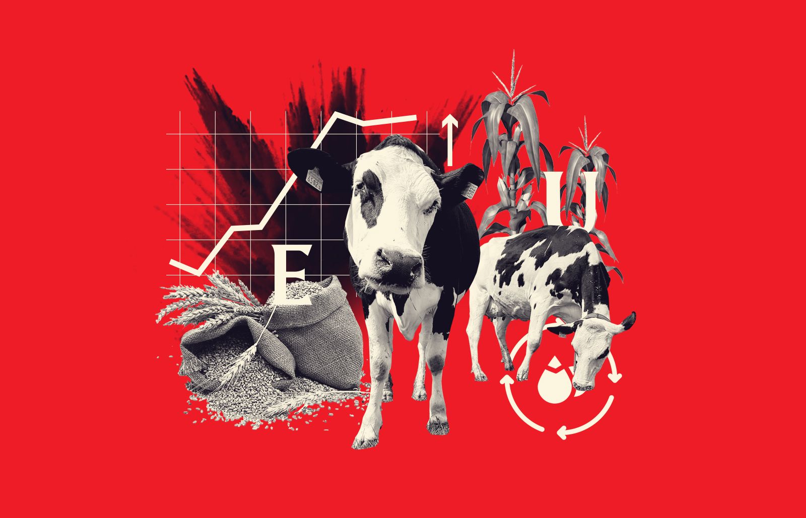 European consumers will face higher prices | Agricultural expert about the effects of Russian-Ukrainian war