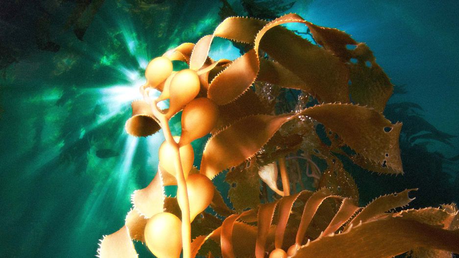 Carbon dioxide could be put away in the ocean floor