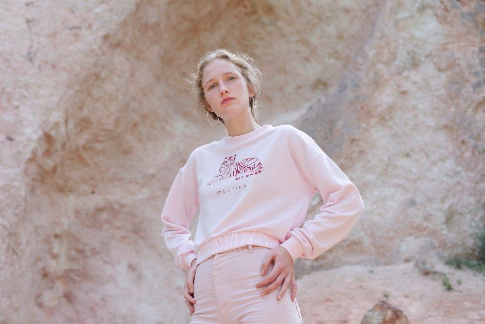 WAMP – The joy of creation