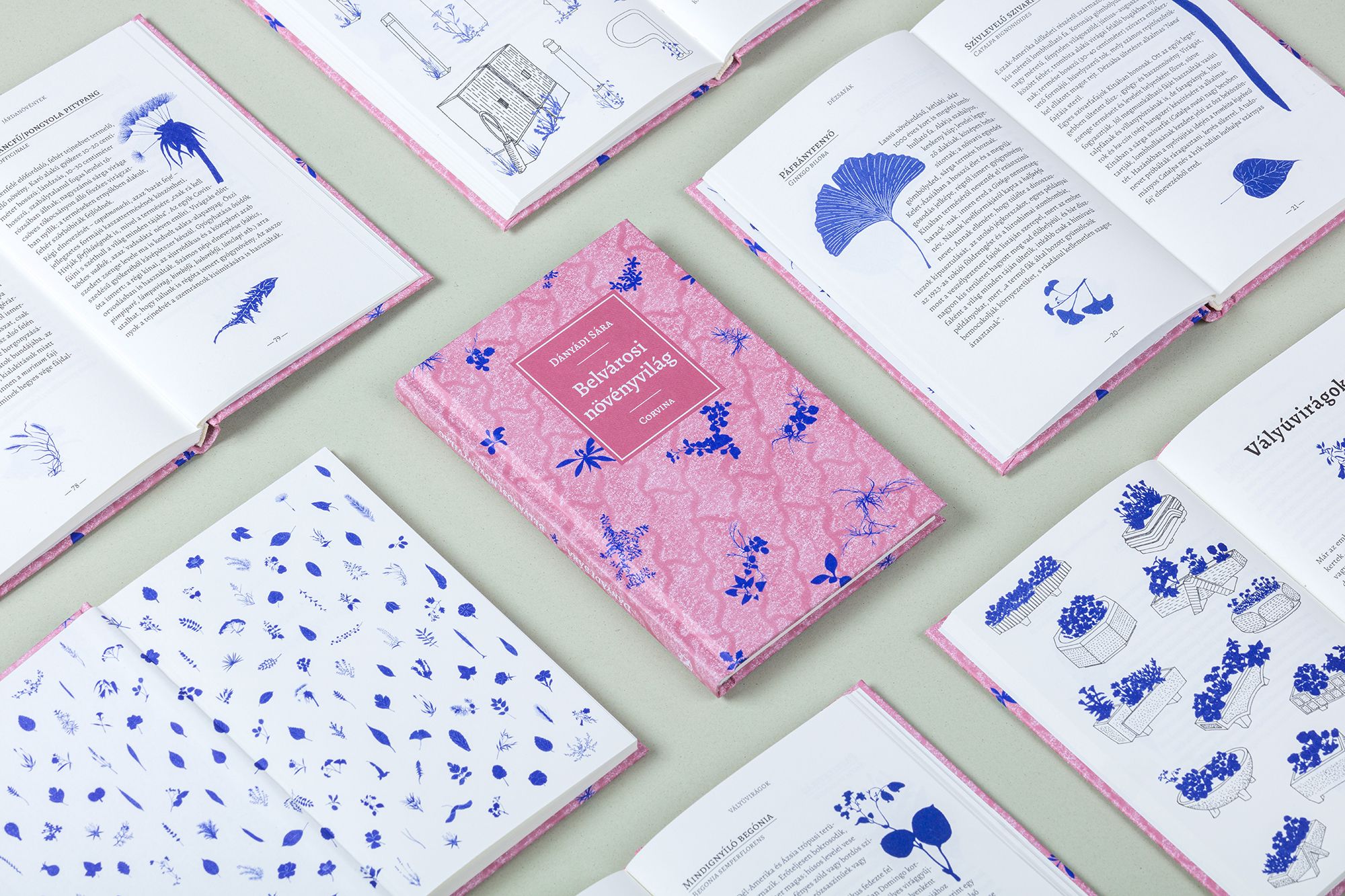 Belvárosi növényvilág