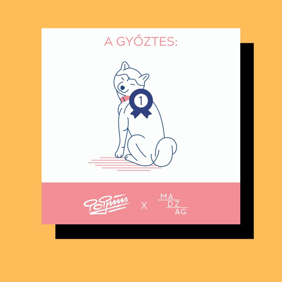 Shiba inu kitűzőt mindenkinek! | POPpins x Madzag