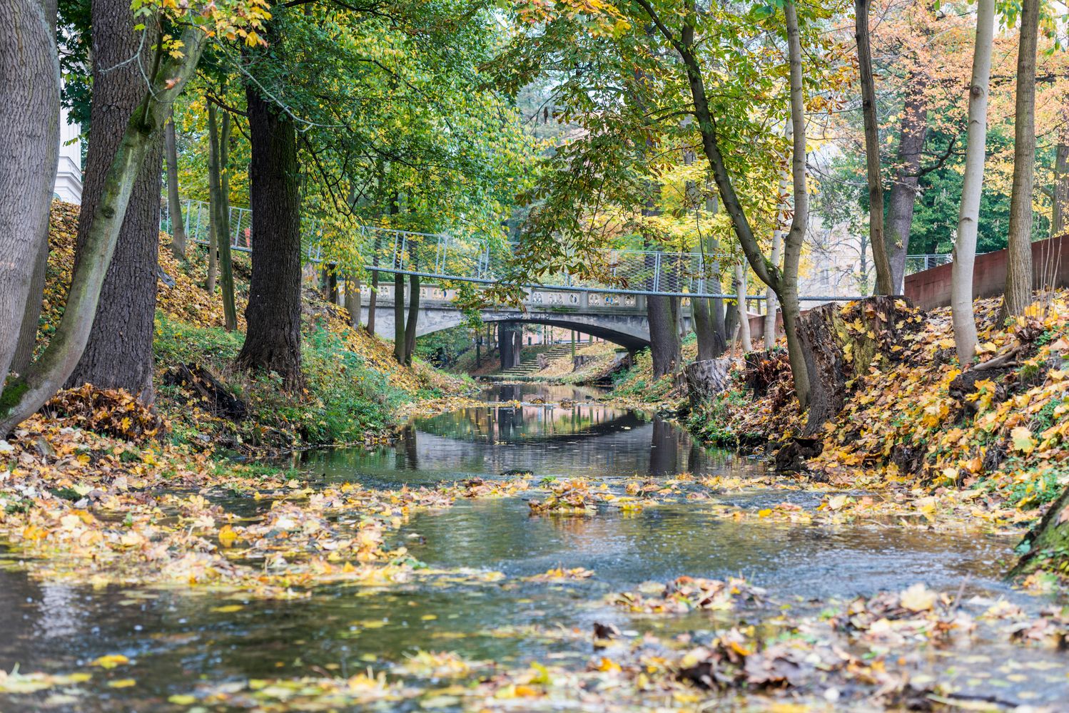 A természet ölelésében – mesés közparkok a régióból | TOP 5