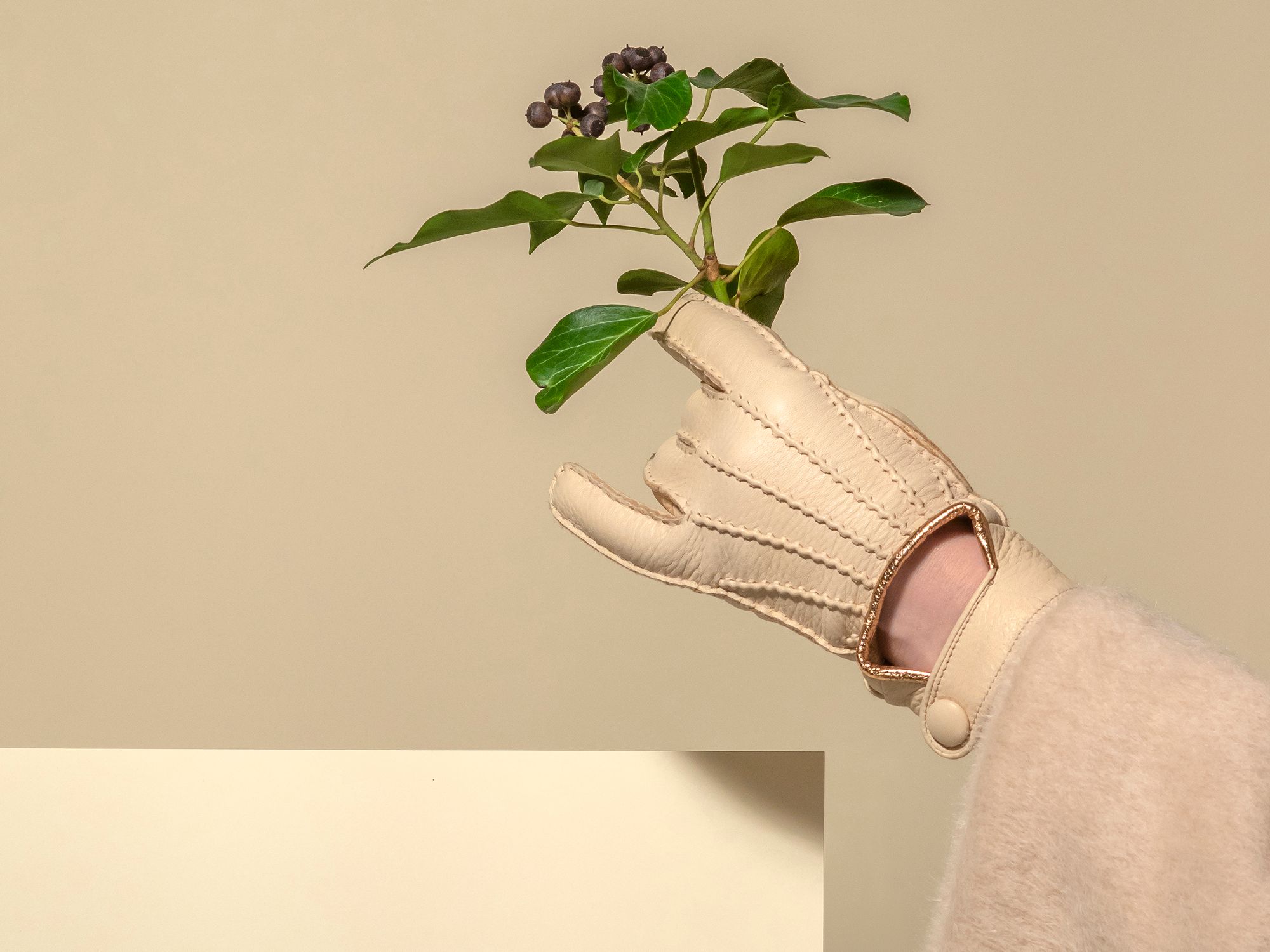 Finom elegancia kesztyű formájában | AIAIÉ x Karma Pécsi Kesztyű