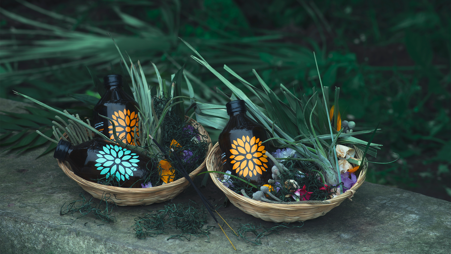 Bottled health | Vigo Kombucha