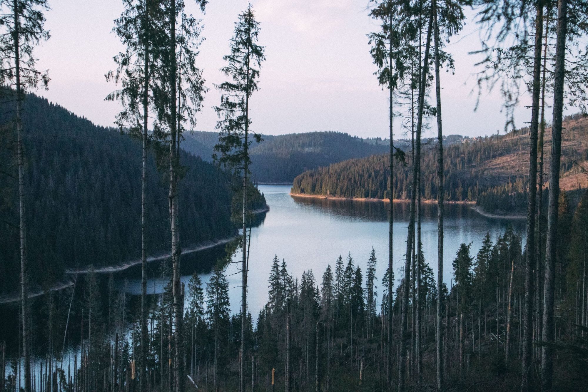 Chill & slow fesztivál az erdélyi hegyekben | Wonderest