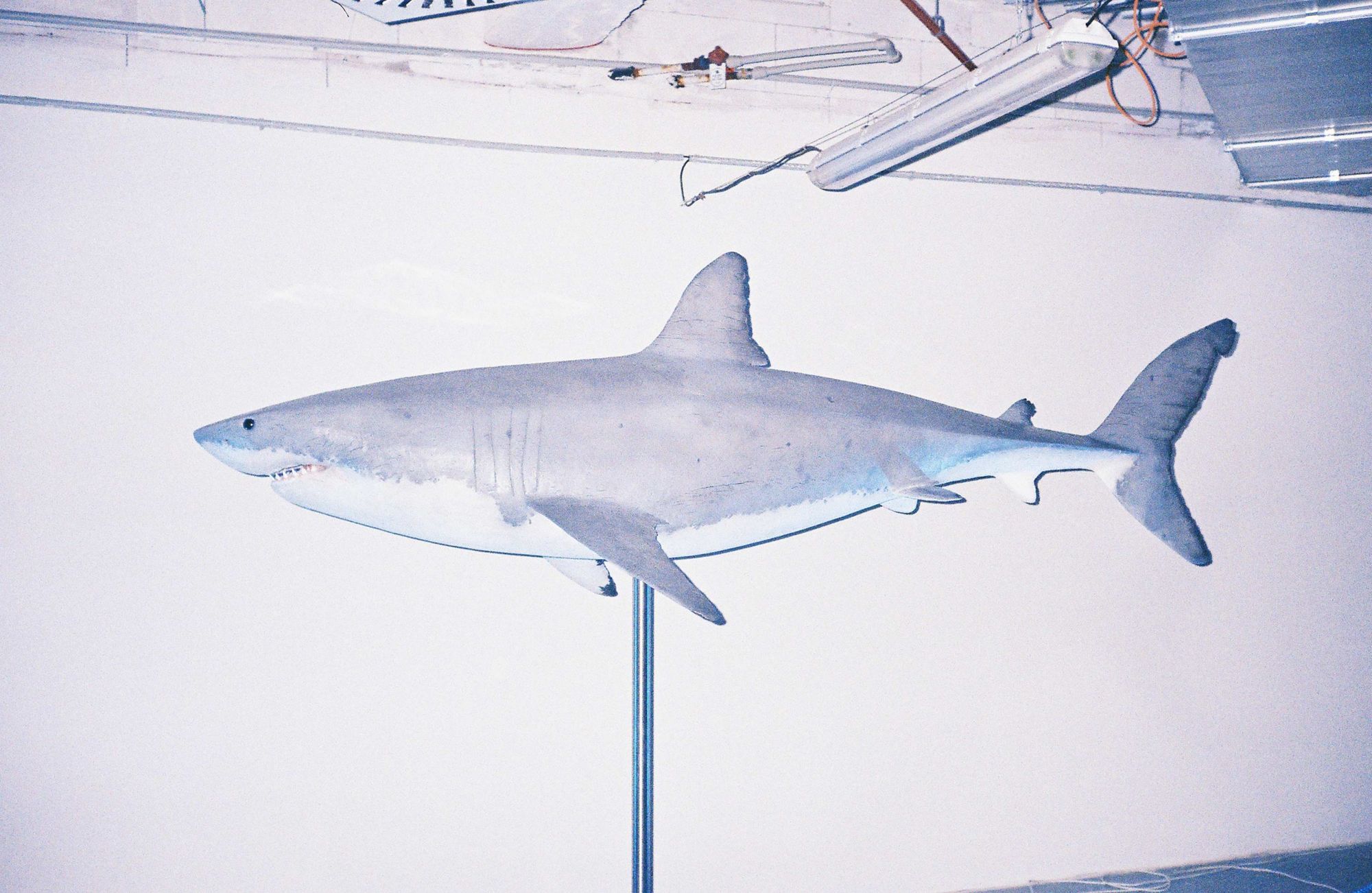 Ordinary oddities | Czechia zine