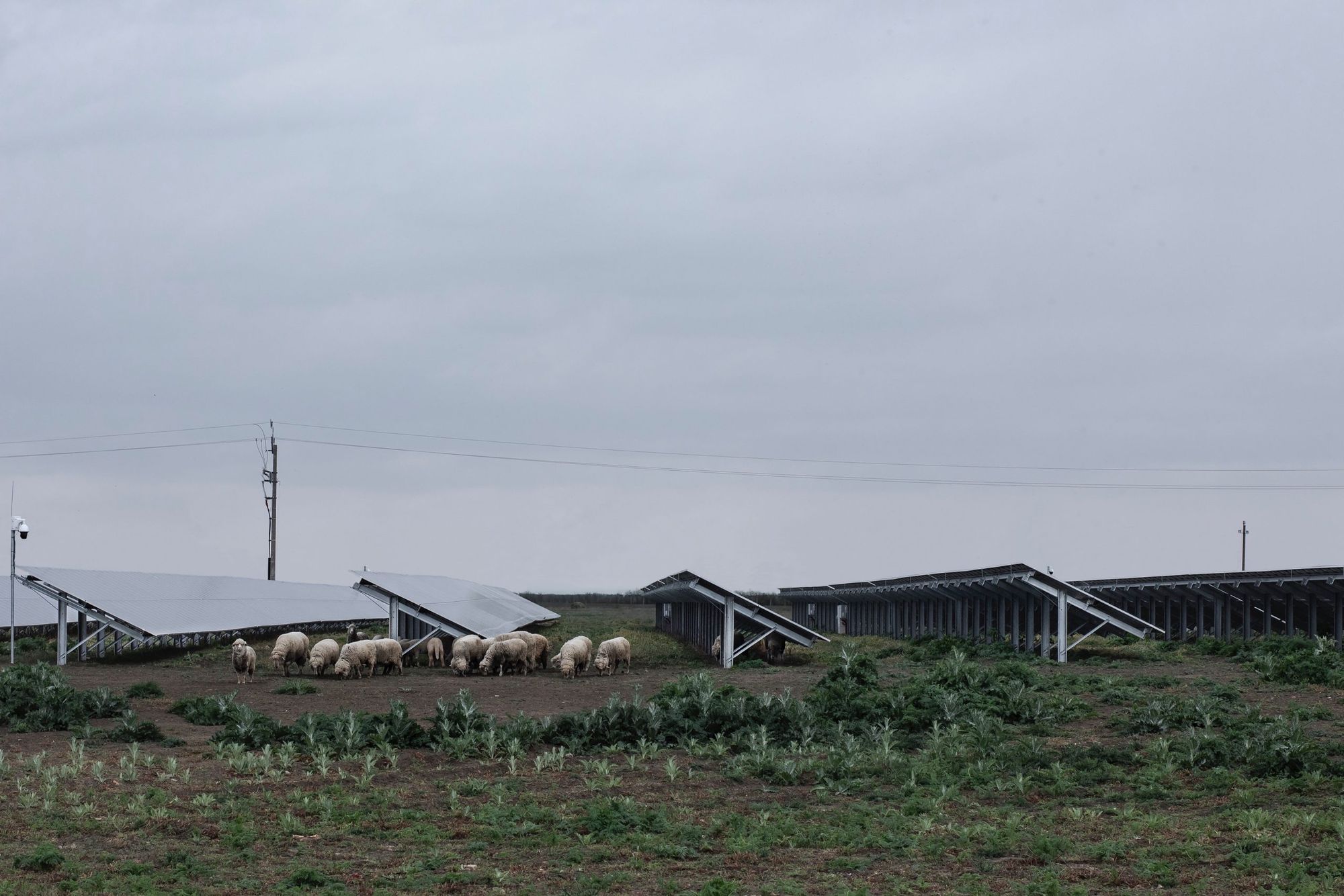 In and out of focus—photos of the Hungarian edgelands