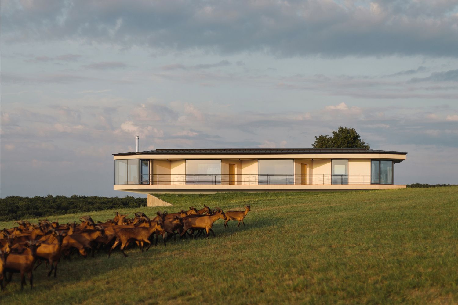 A house made of hemp that blends into its environment